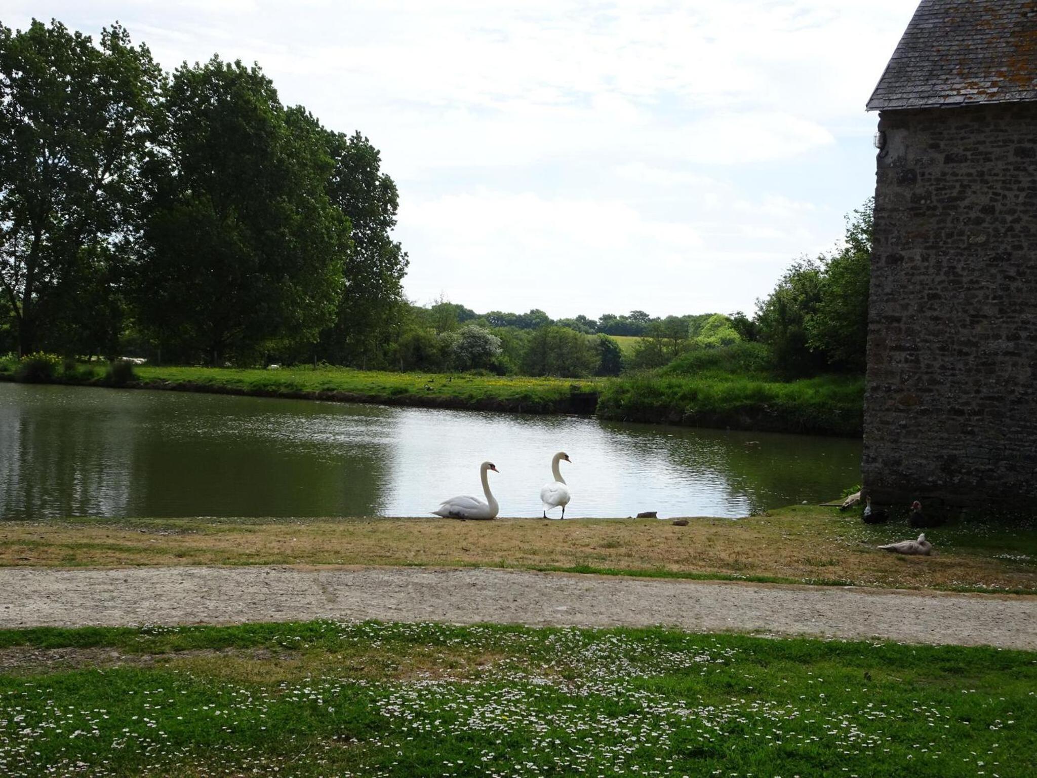 Manor in Cotentin with Historic Charm