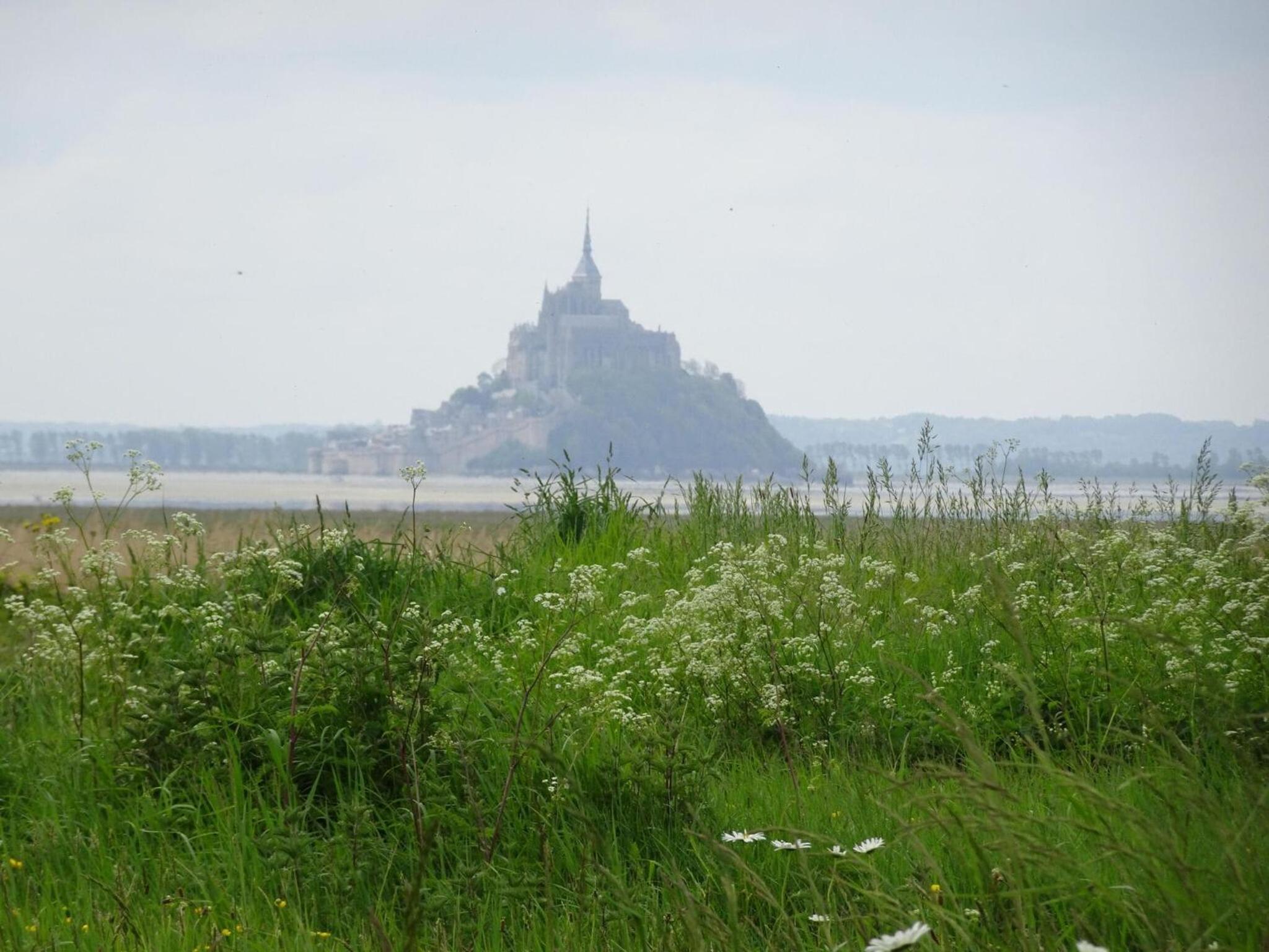 Manor in Cotentin with Historic Charm