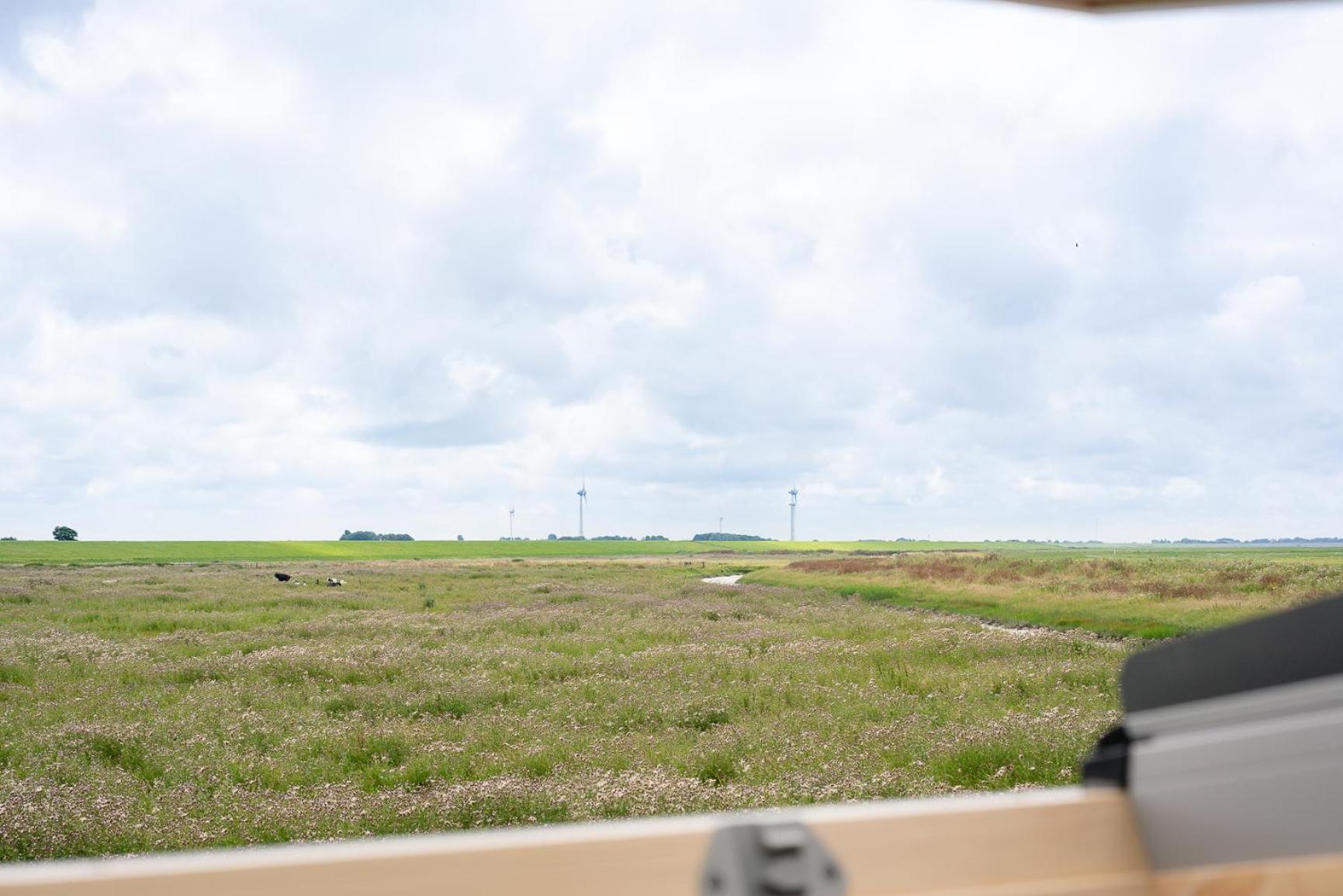 Tiny House Pioneer 18 Zur Meerseite - Green Tiny Village Harlesiel