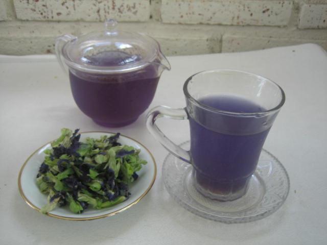 Photo 48