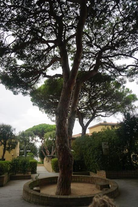 Appartamento/ Residence I BOBOLI - Porto Punta Ala -