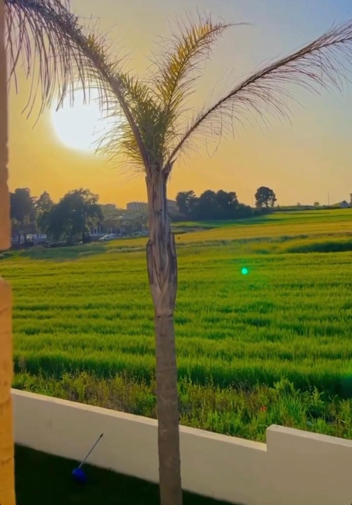 Villa Palma view 2