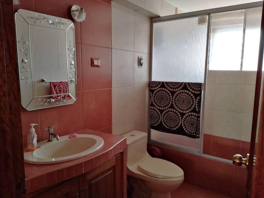 Departamento REKADI view 5