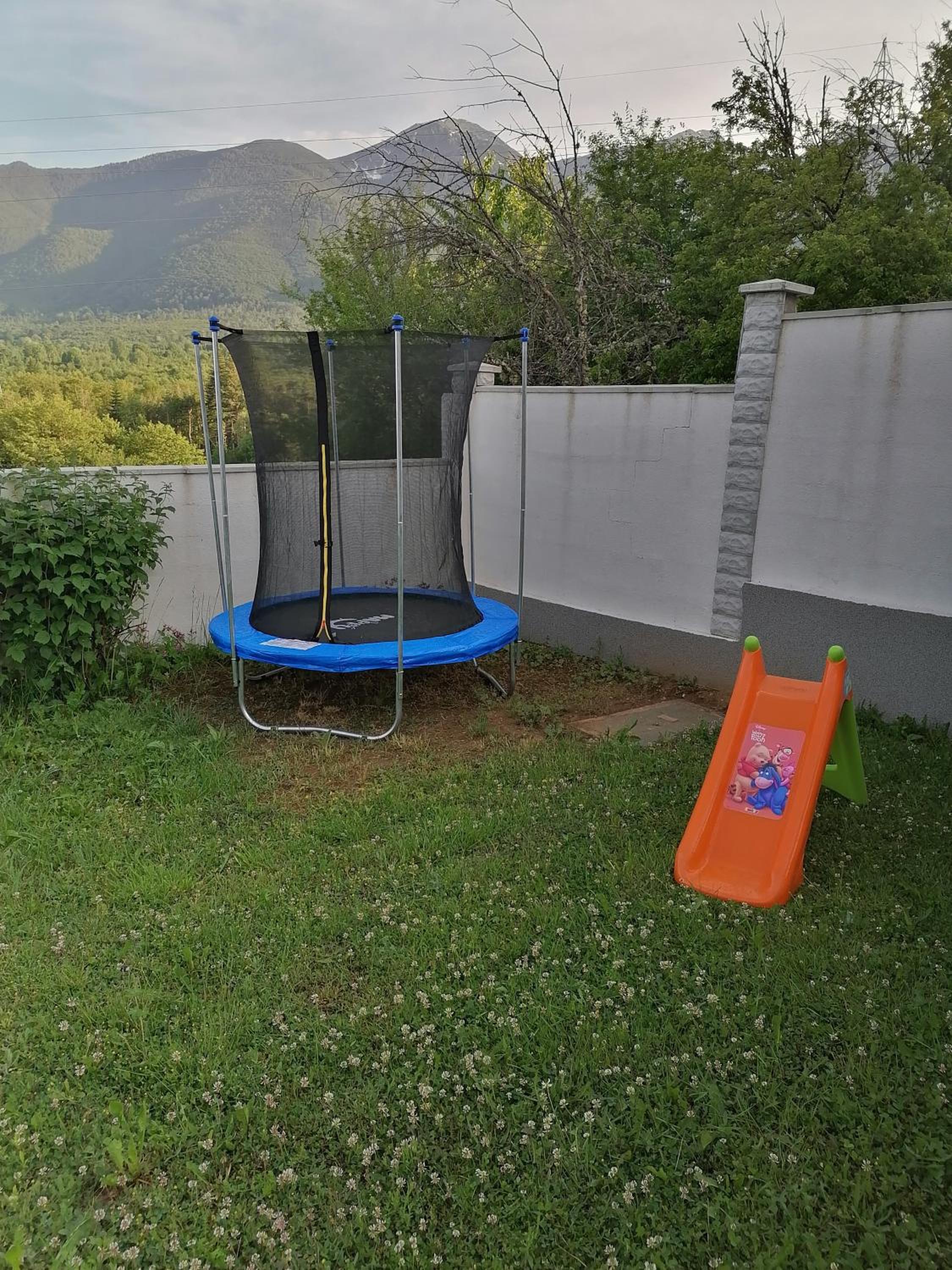 Photo 7