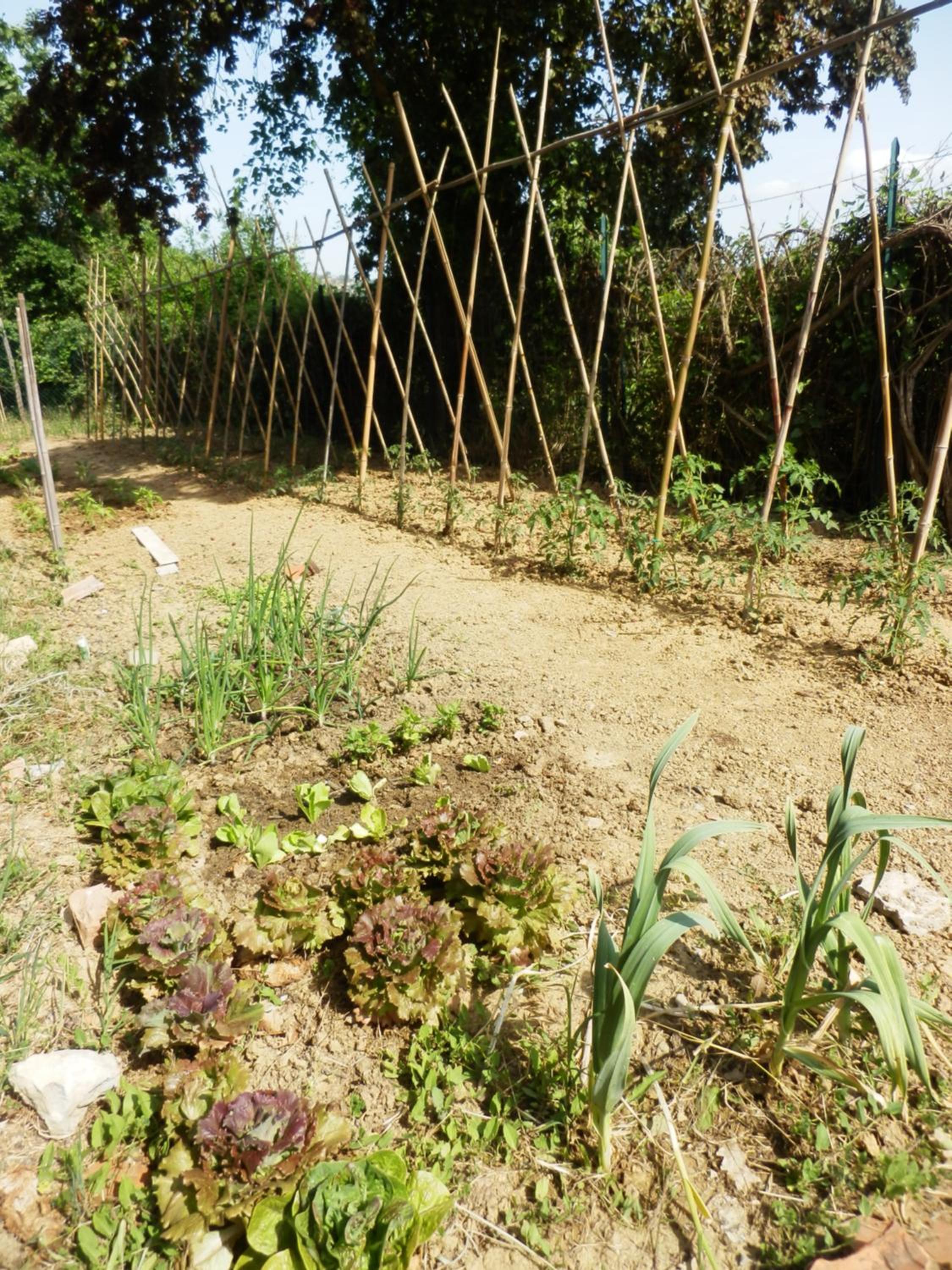 Il casale di Sandra