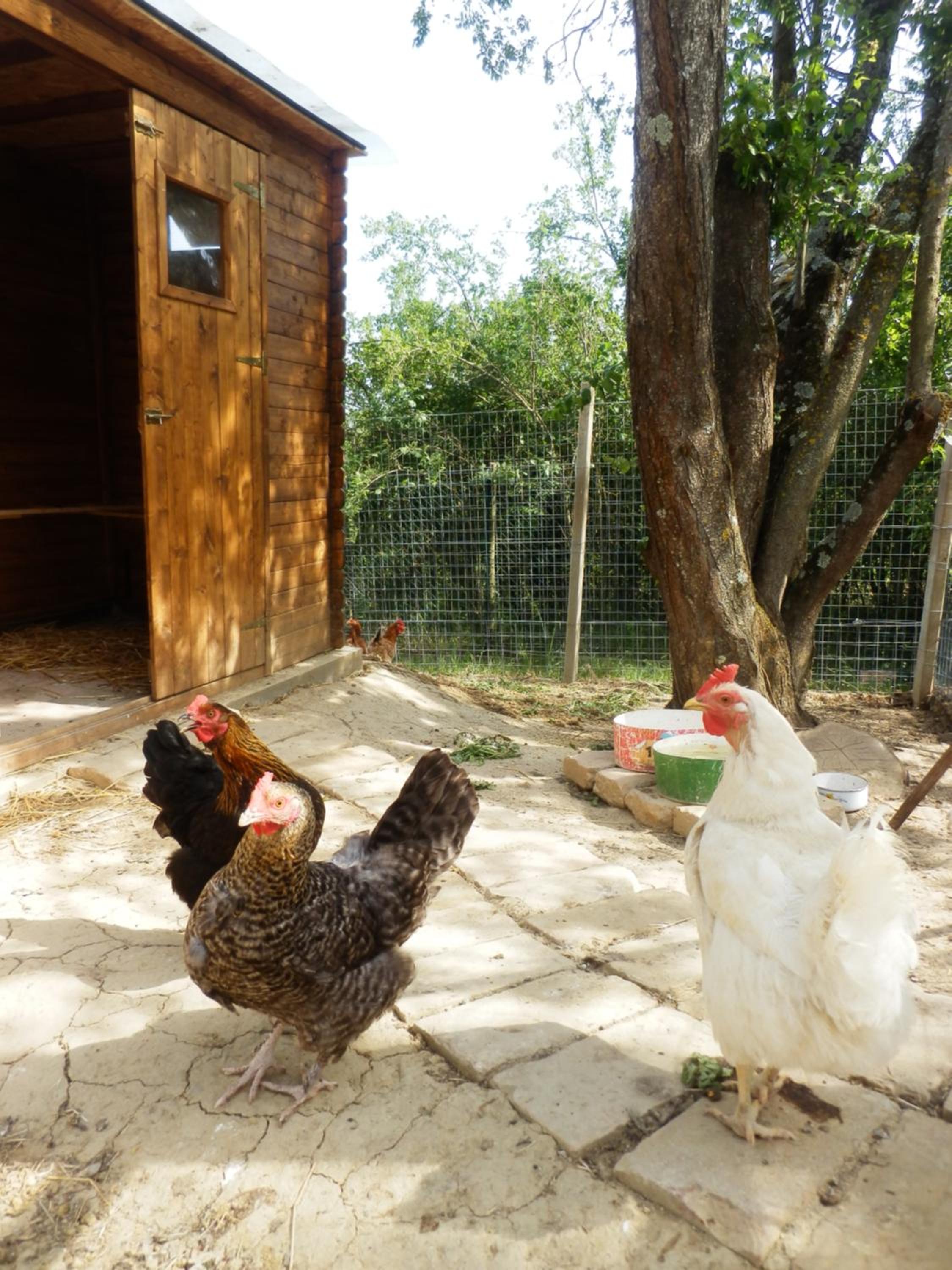 Il casale di Sandra