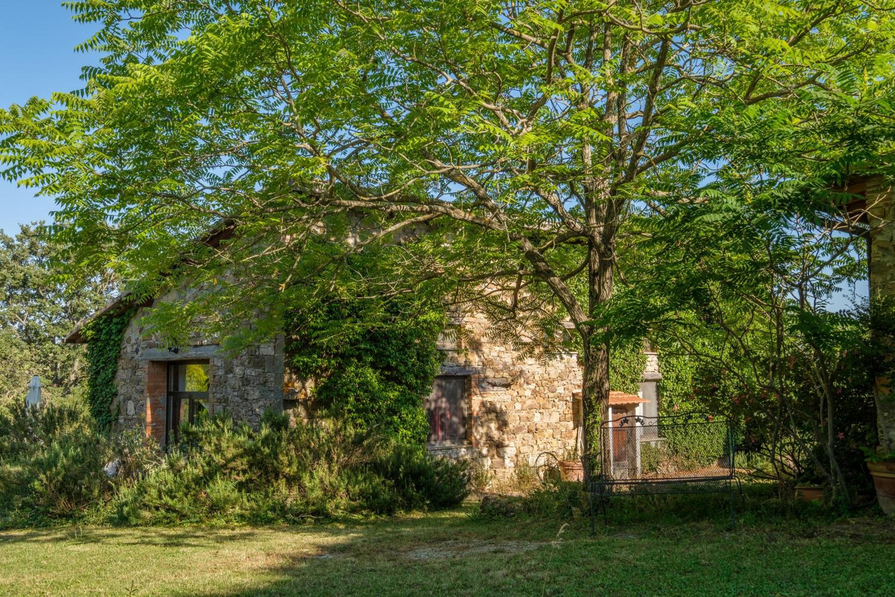 Stella Nord Podere Carbone view 4