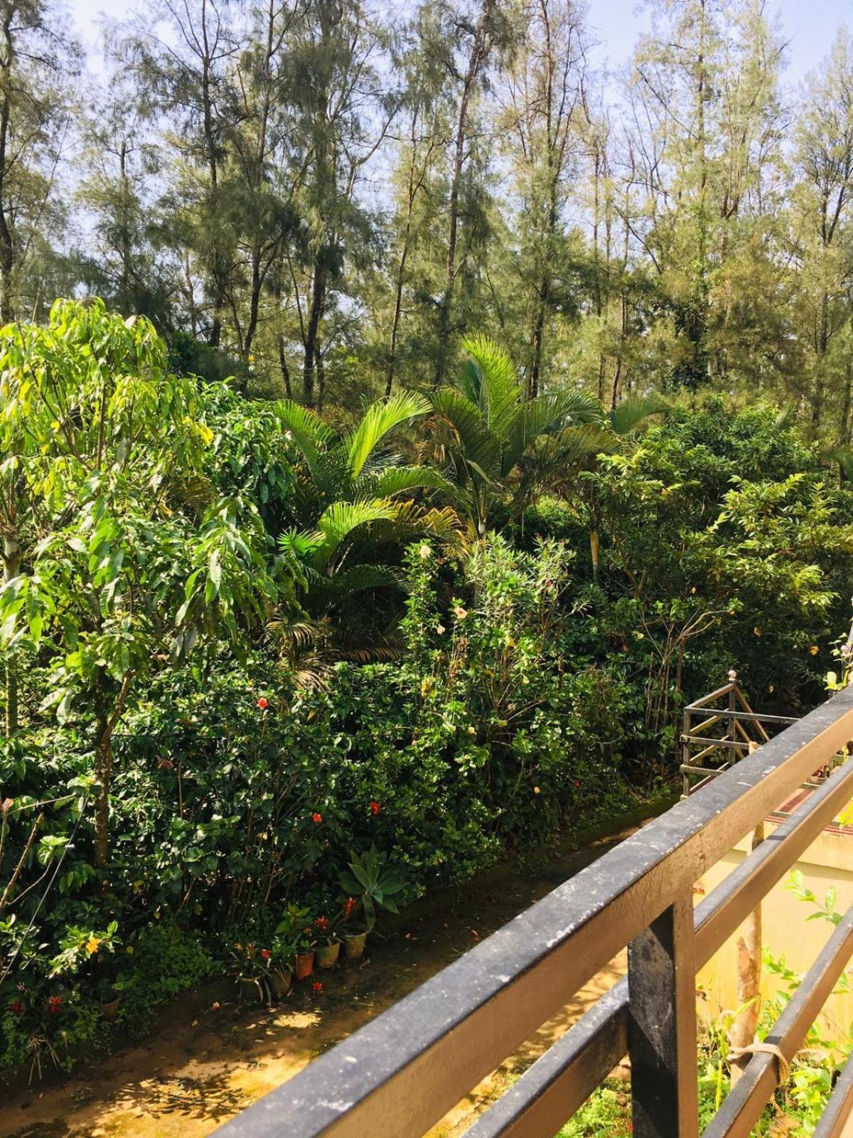 Coorg West End Home Stay view 3
