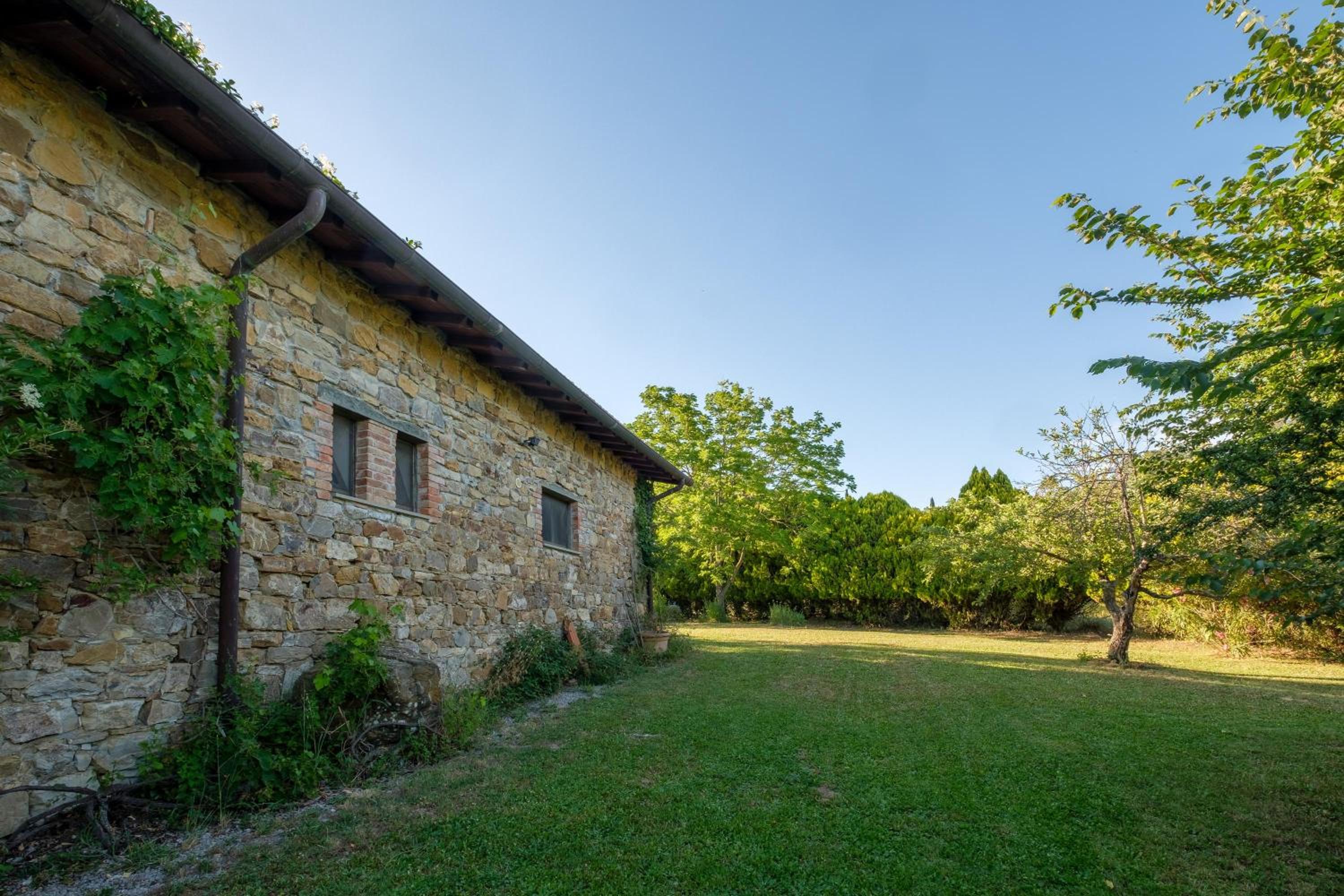 Stella Sud Podere Carbone view 5