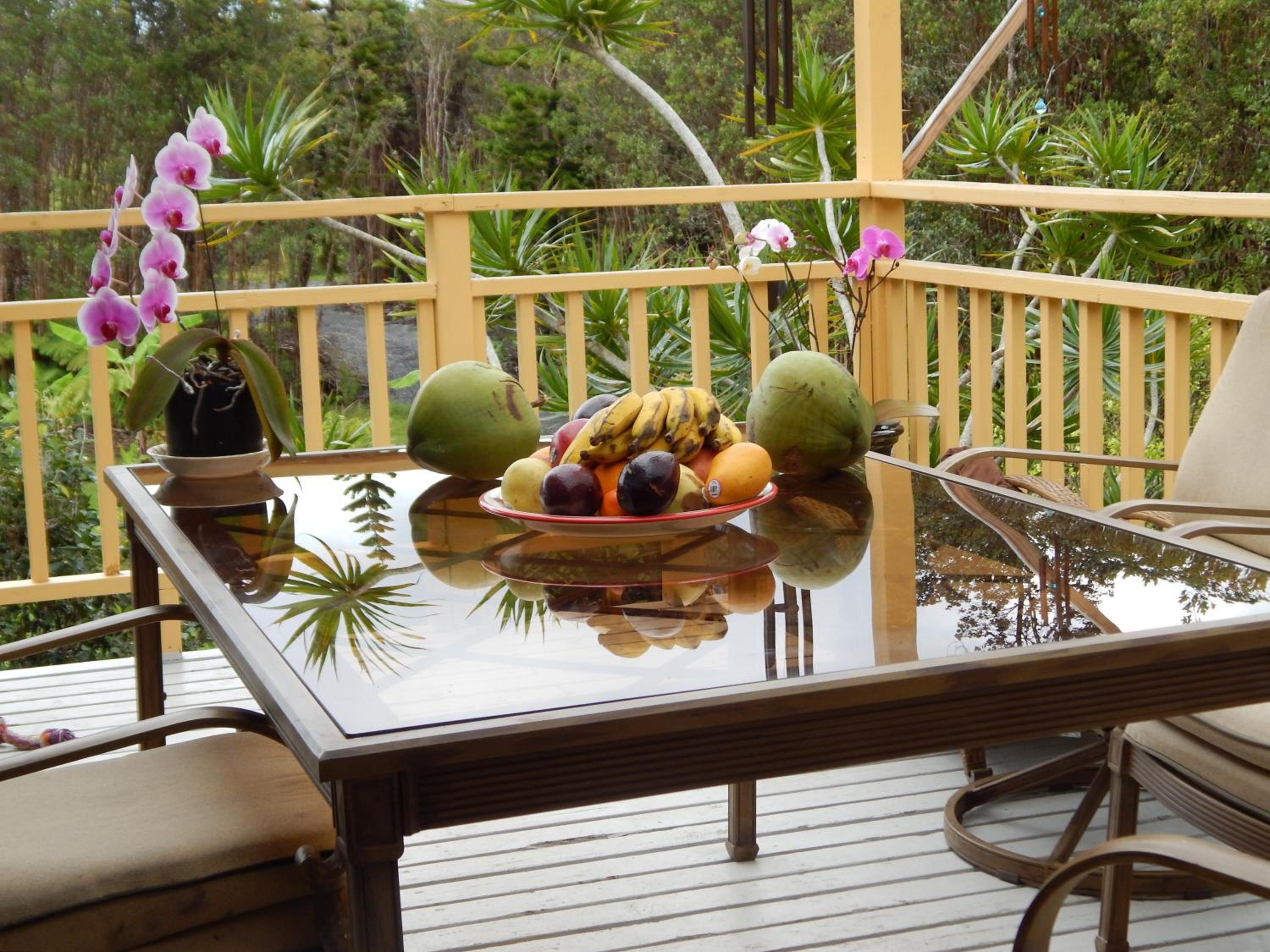Fern Forest Getaway