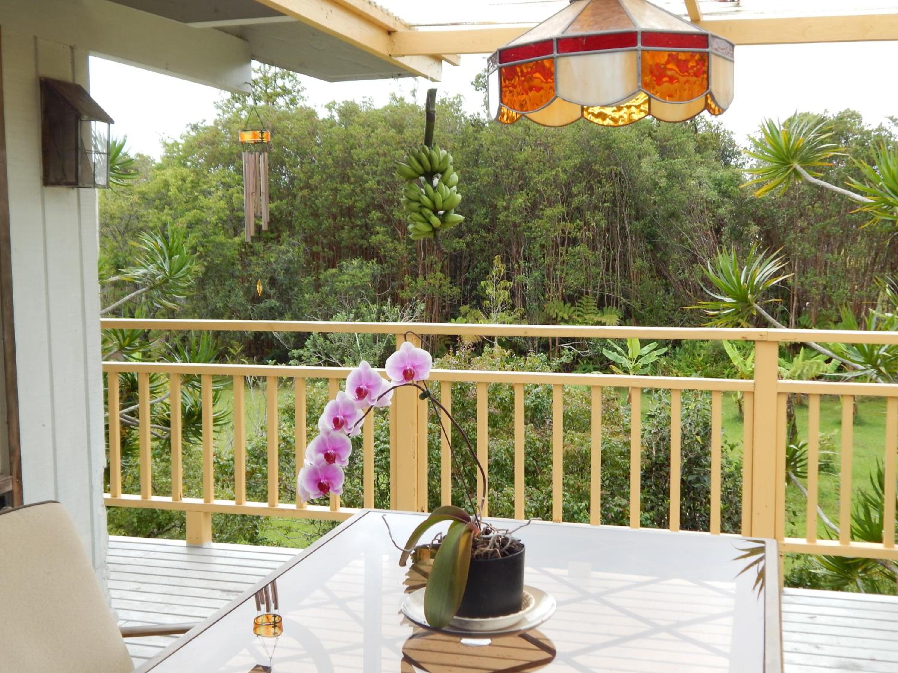 Fern Forest Getaway