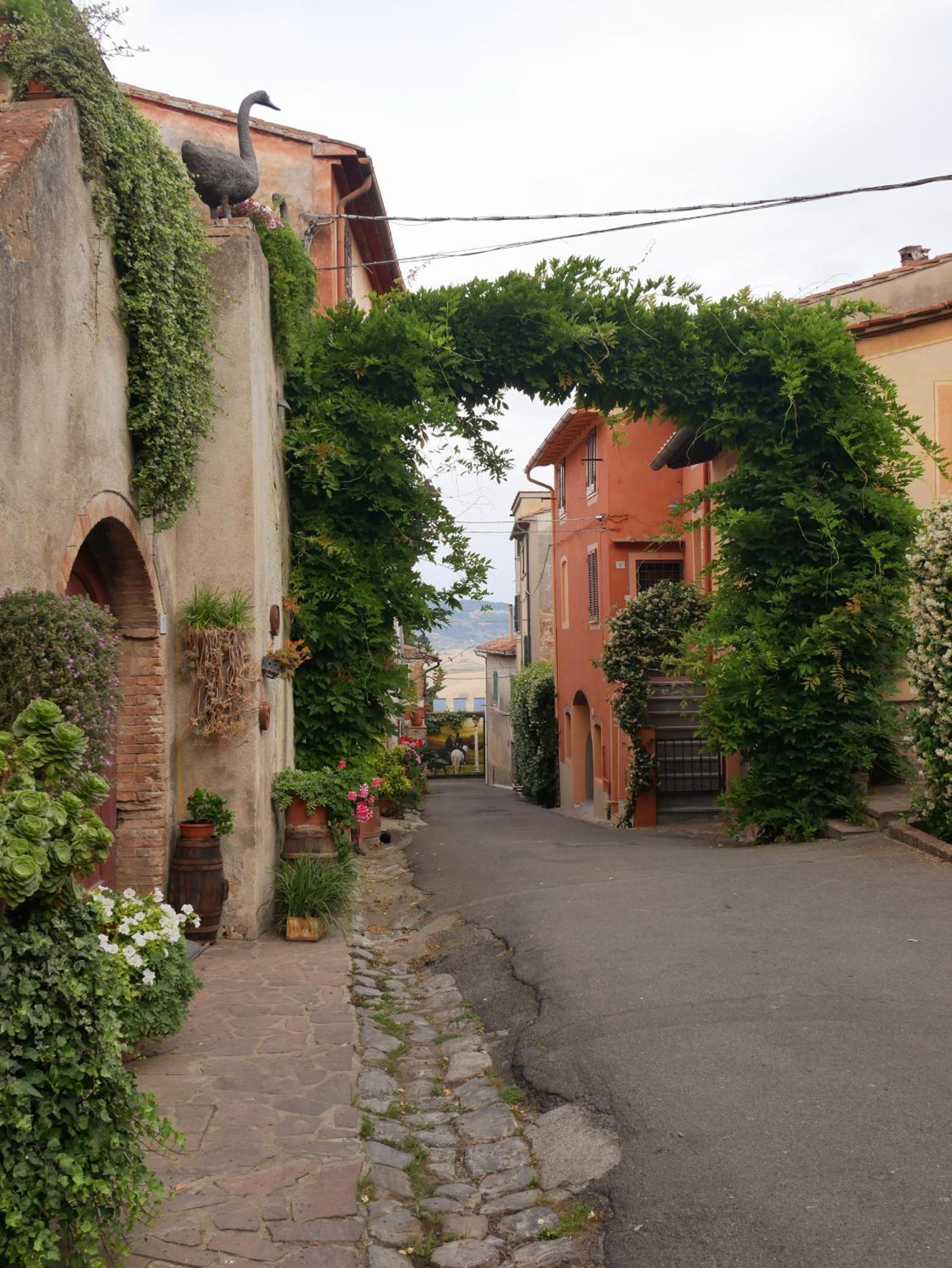 La Bella di Lajatico view 4