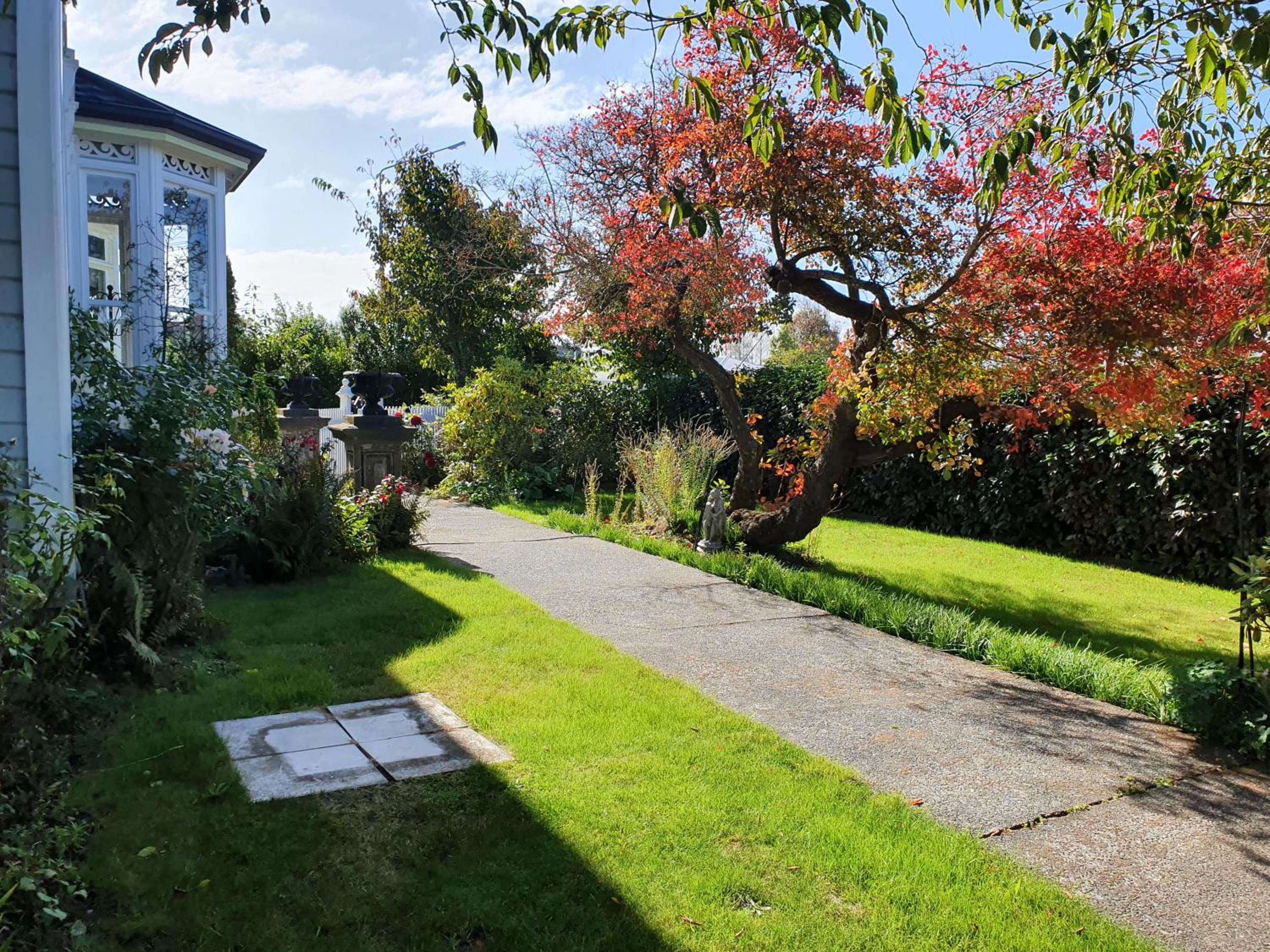 Photo 19