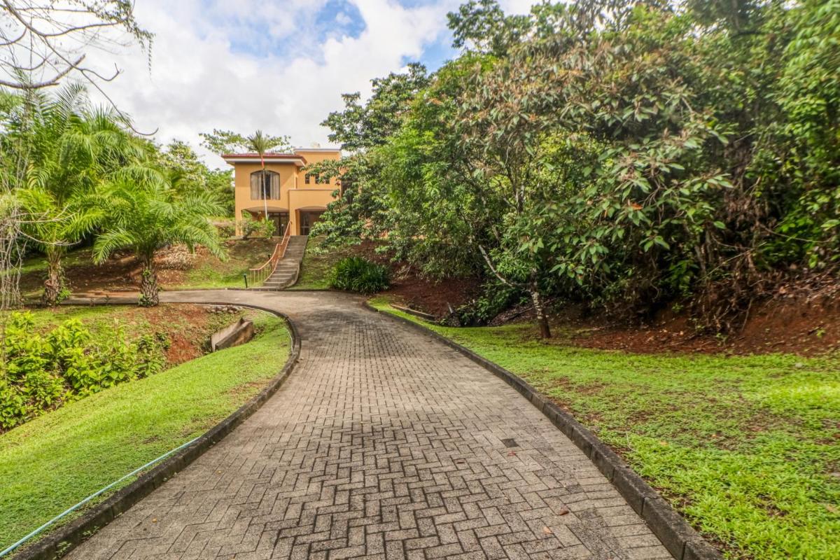 Esterillos Estates Coconut 38