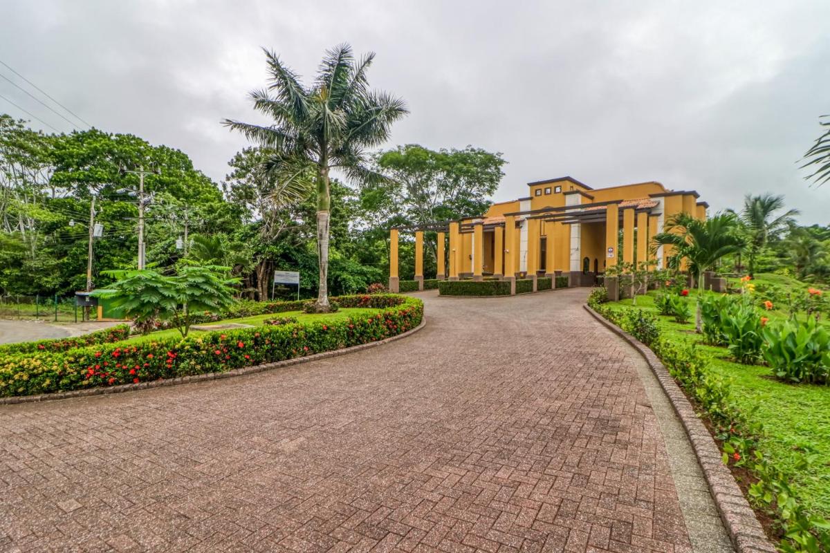 Esterillos Estates Coconut 38