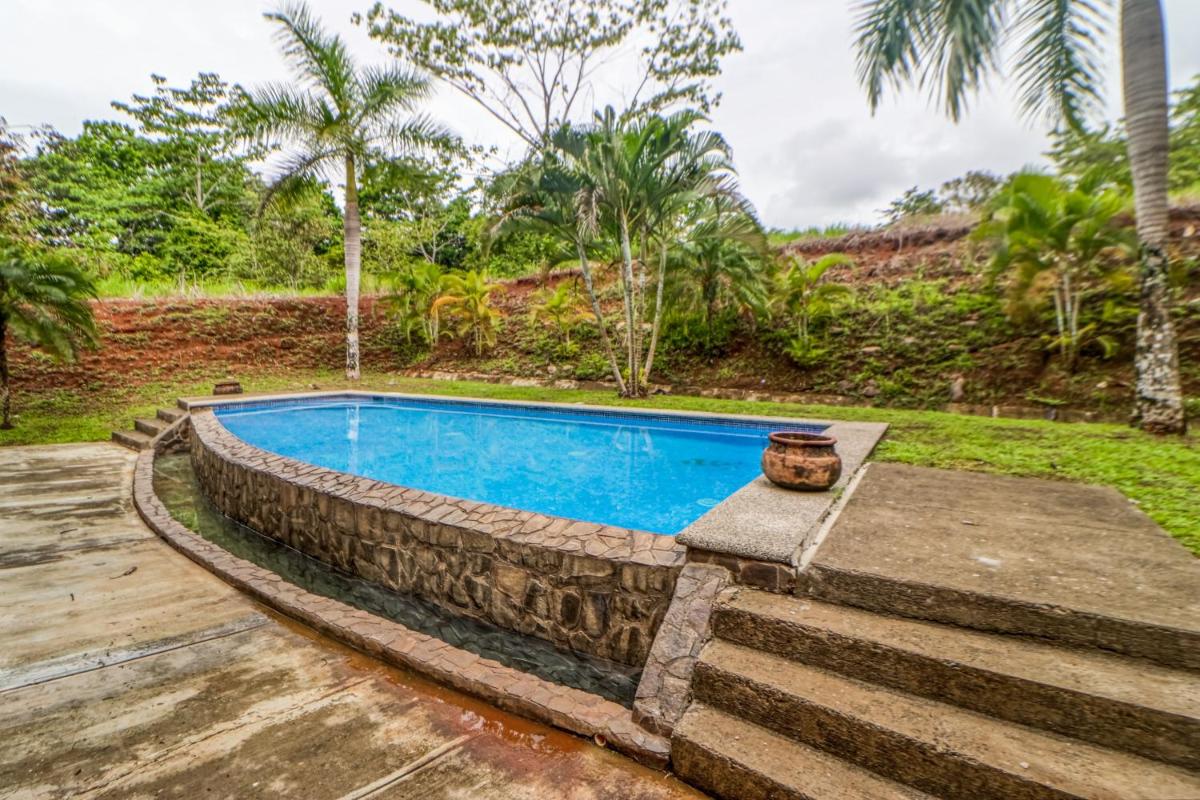 Esterillos Estates Coconut 38