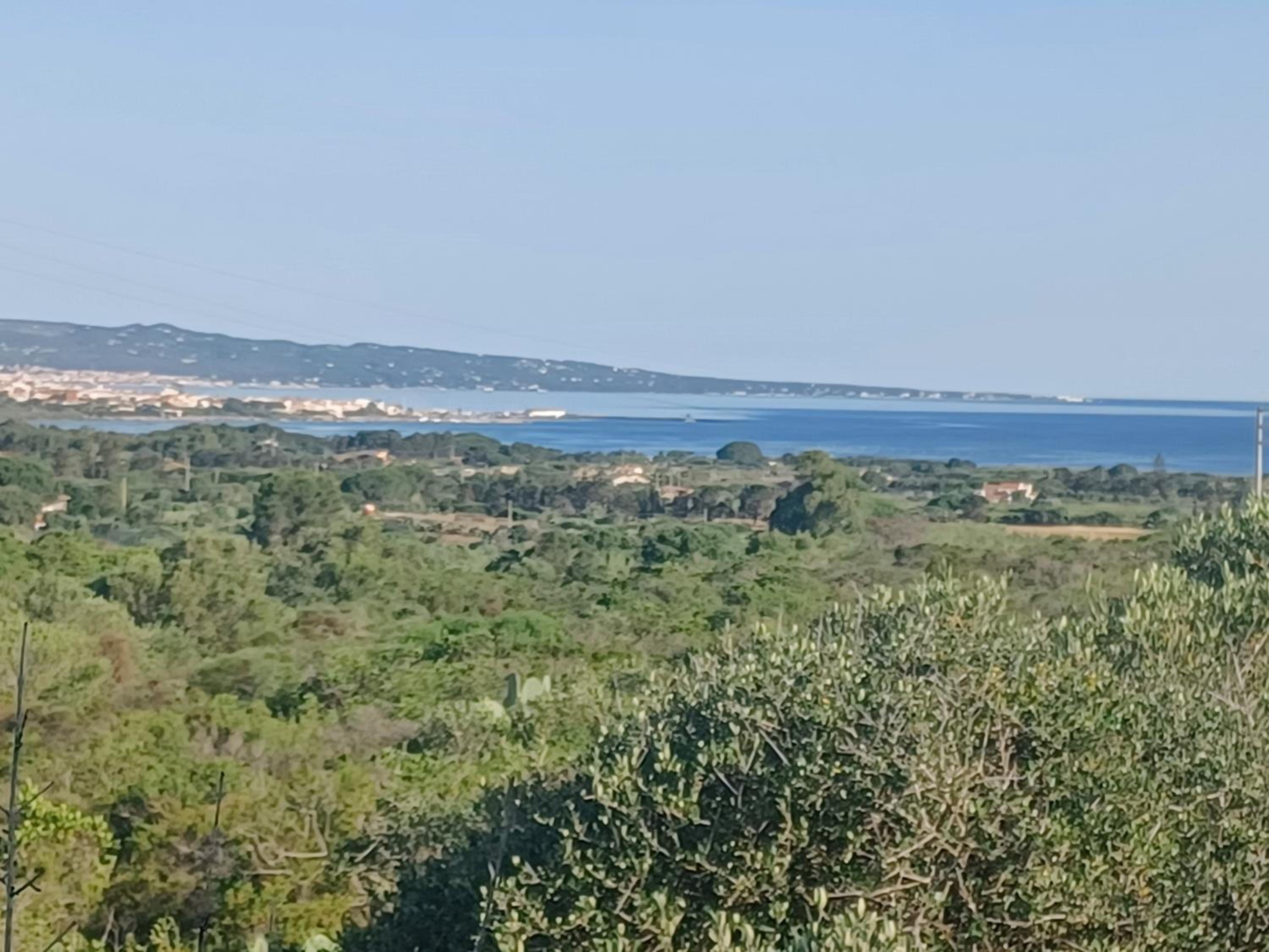 Casa pappagallo
