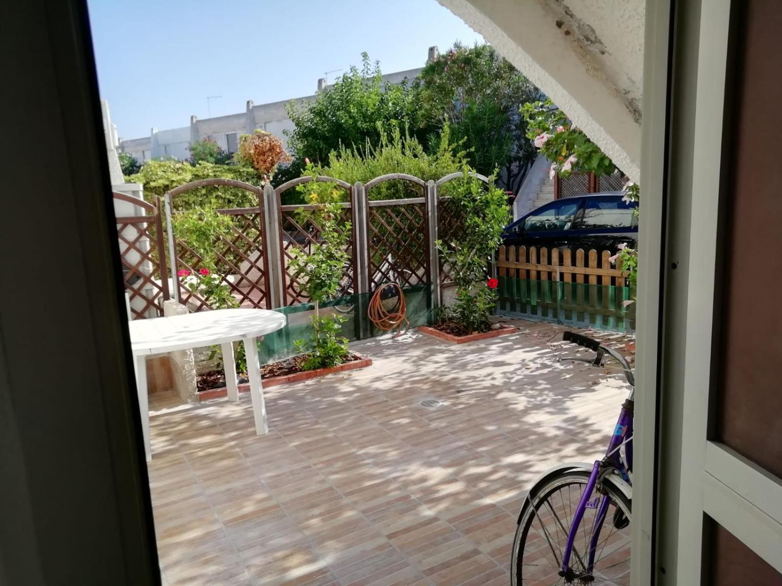 Casa pappagallo