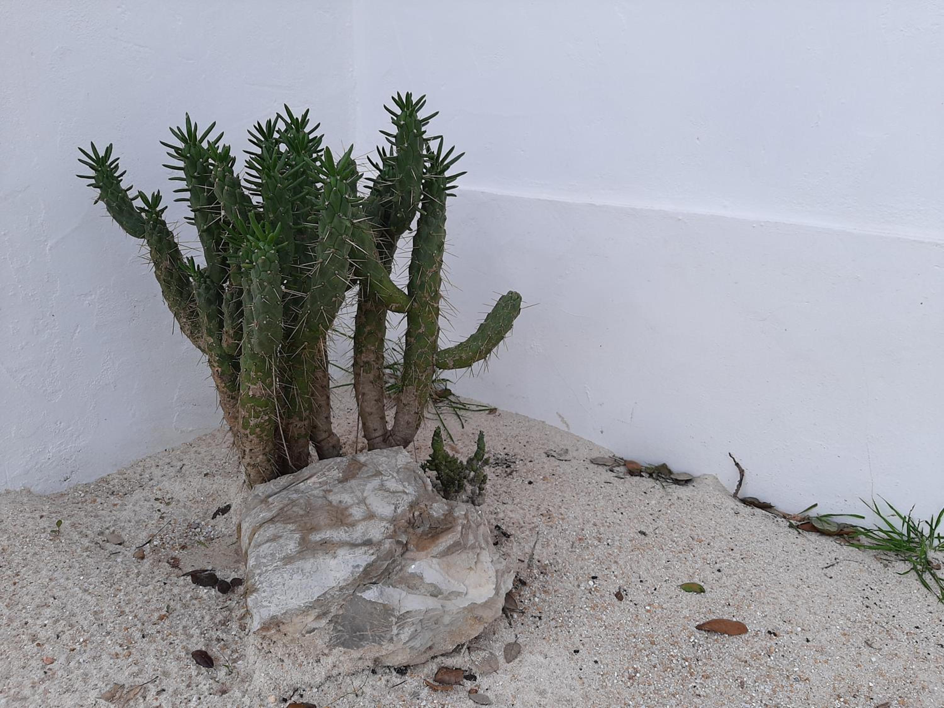 Monte Vale Manhãs by Hi Alentejo
