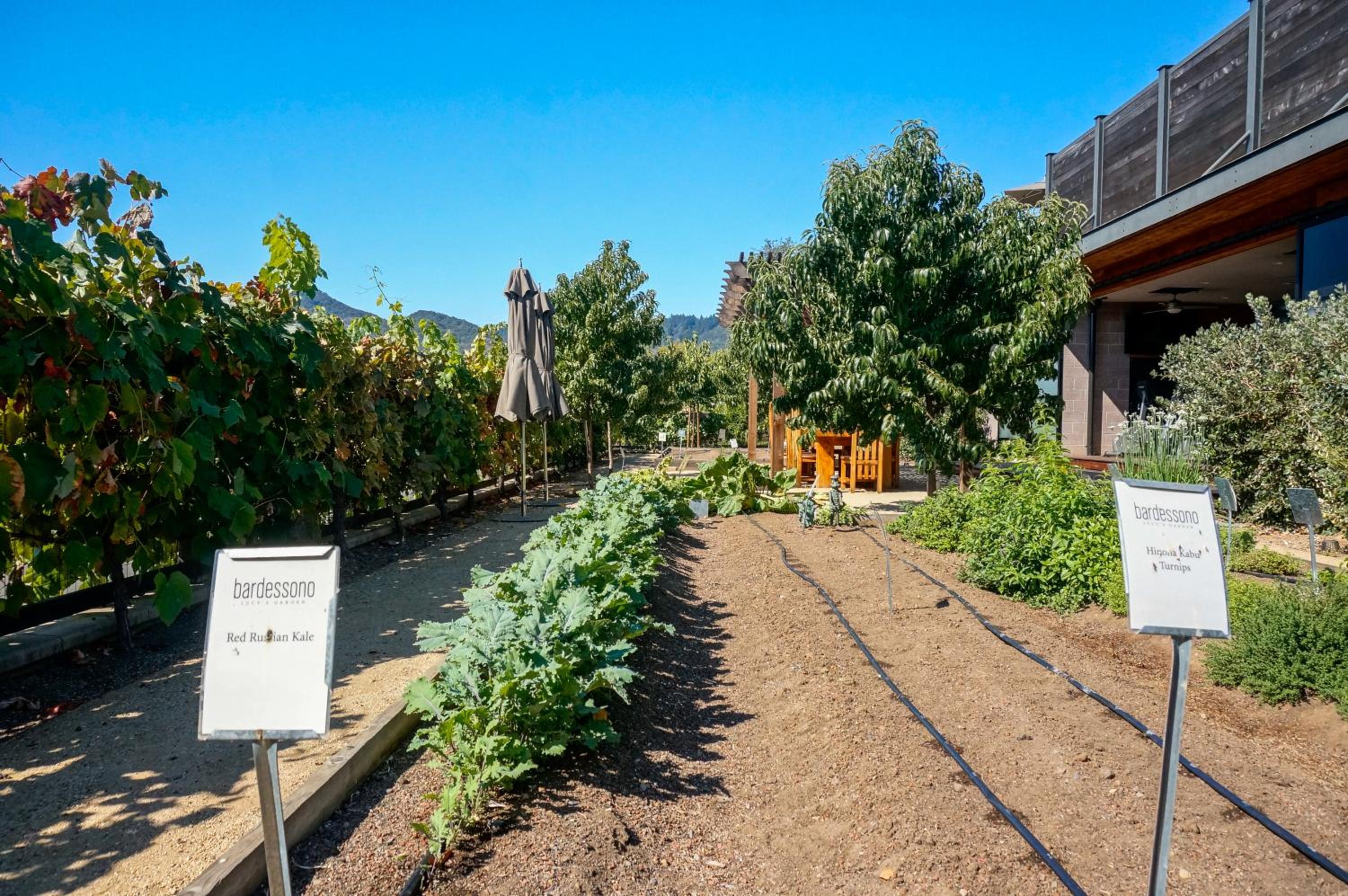 Yountville Vacations - Bardessono Hotel and Spa - Property Image 81