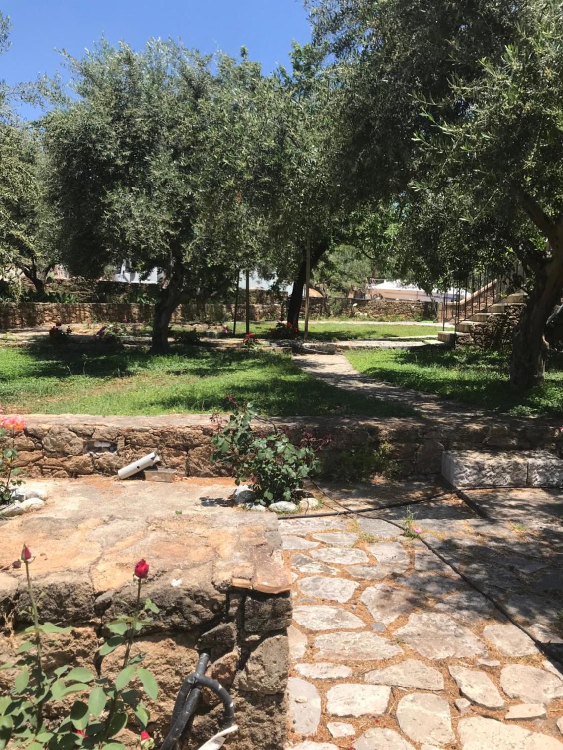Photo 21