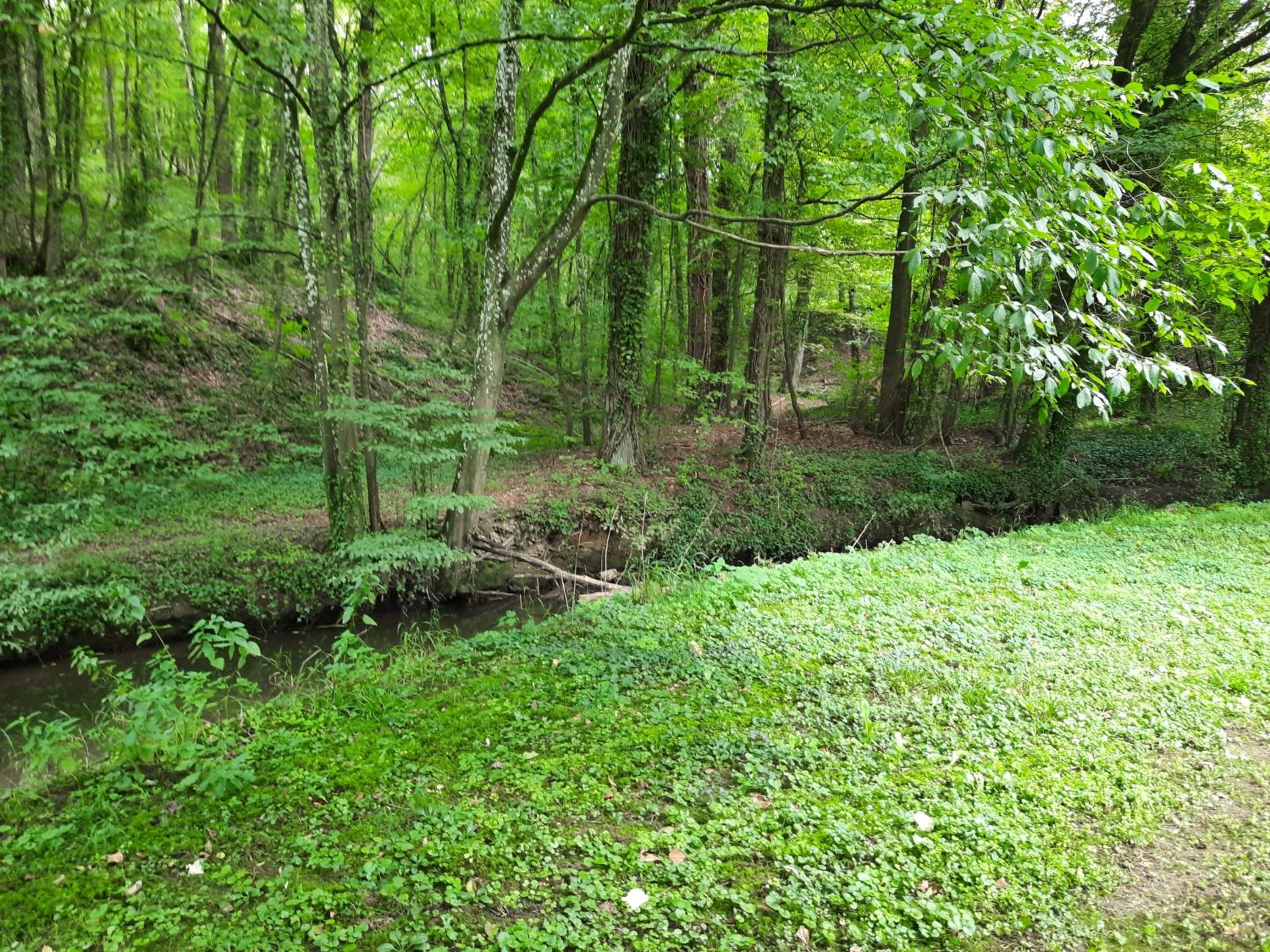 Domaine 