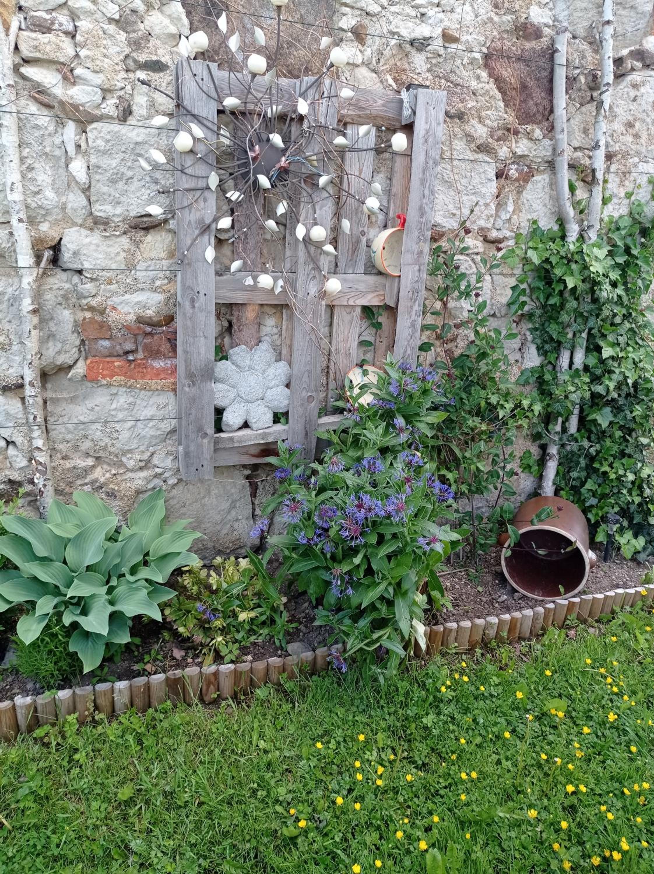 Photo 23