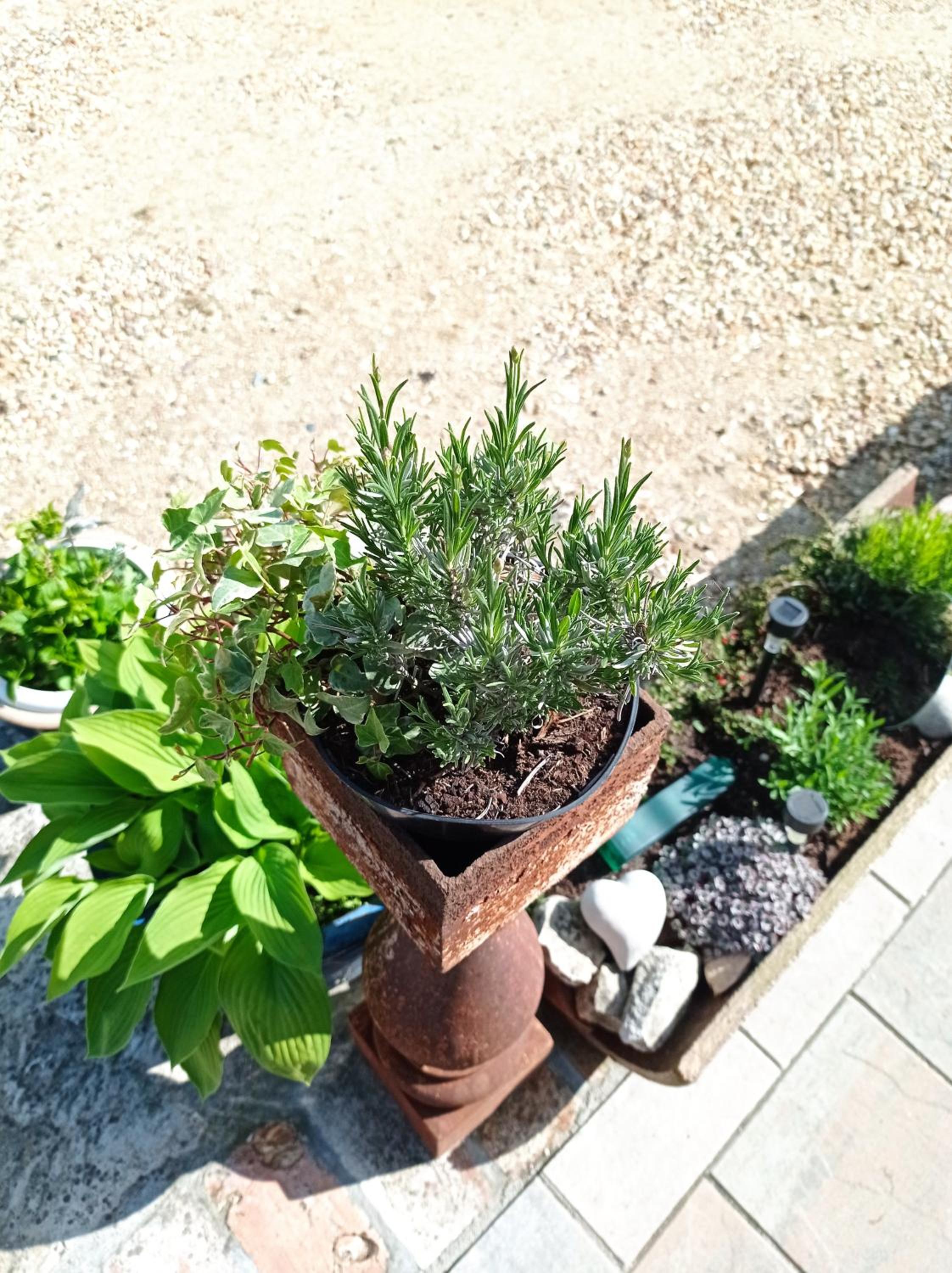 Photo 21