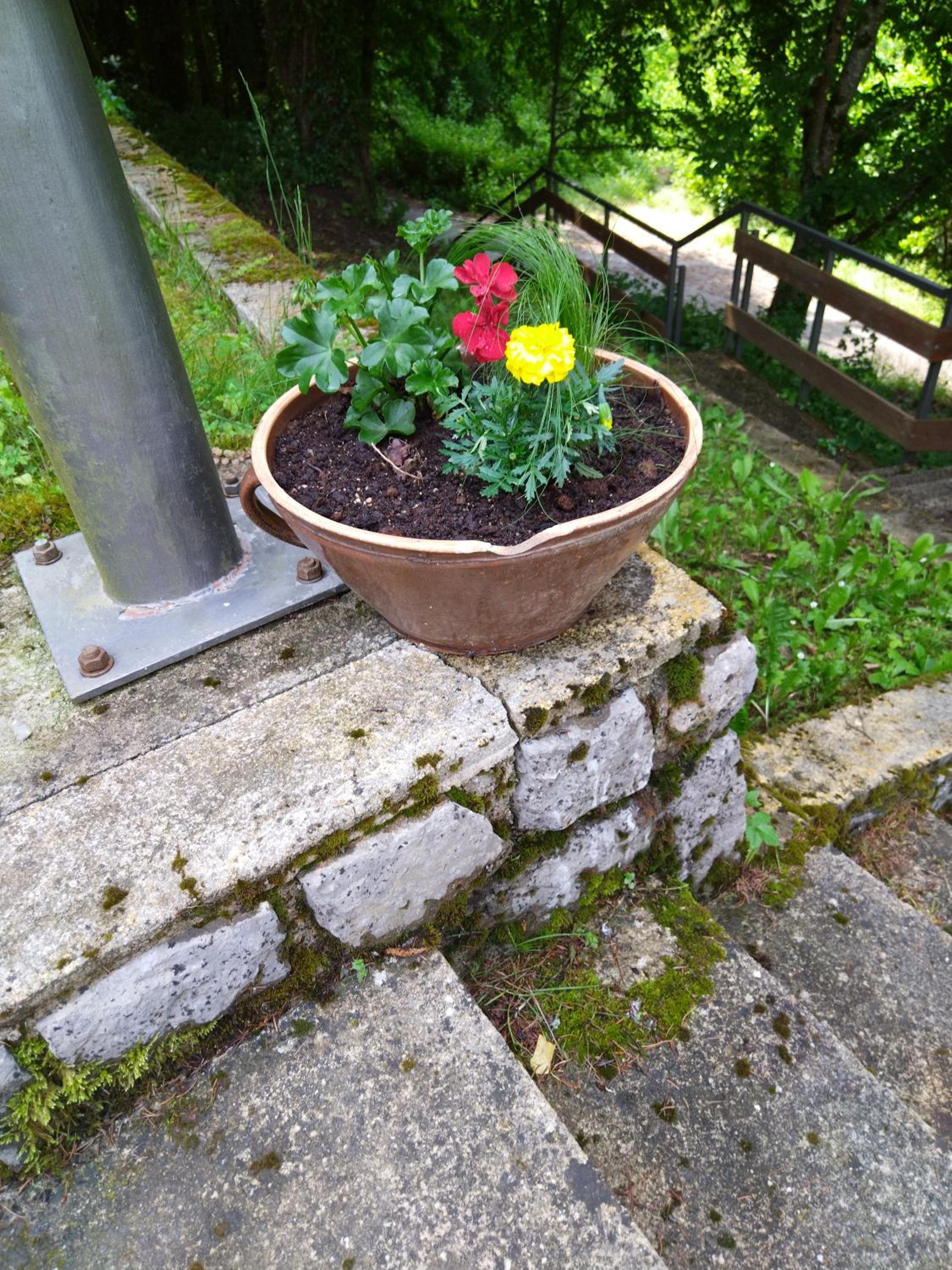 Photo 62
