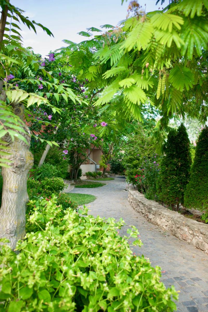 Photo 6