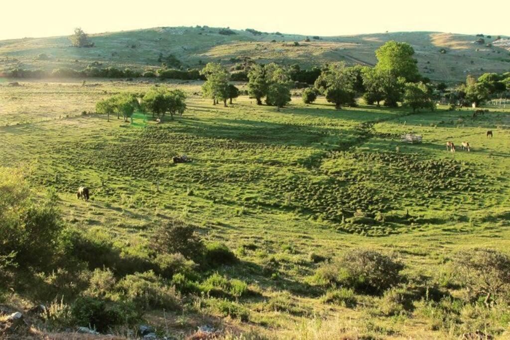 Bungalow de campo Torero - sierras, naturaleza y relax view 4