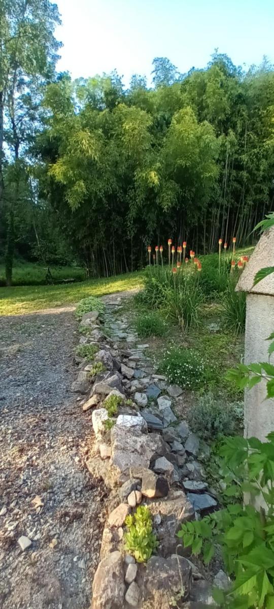 Photo 32