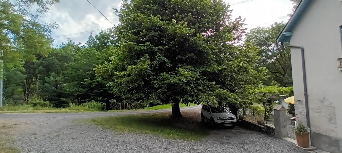 Photo 35