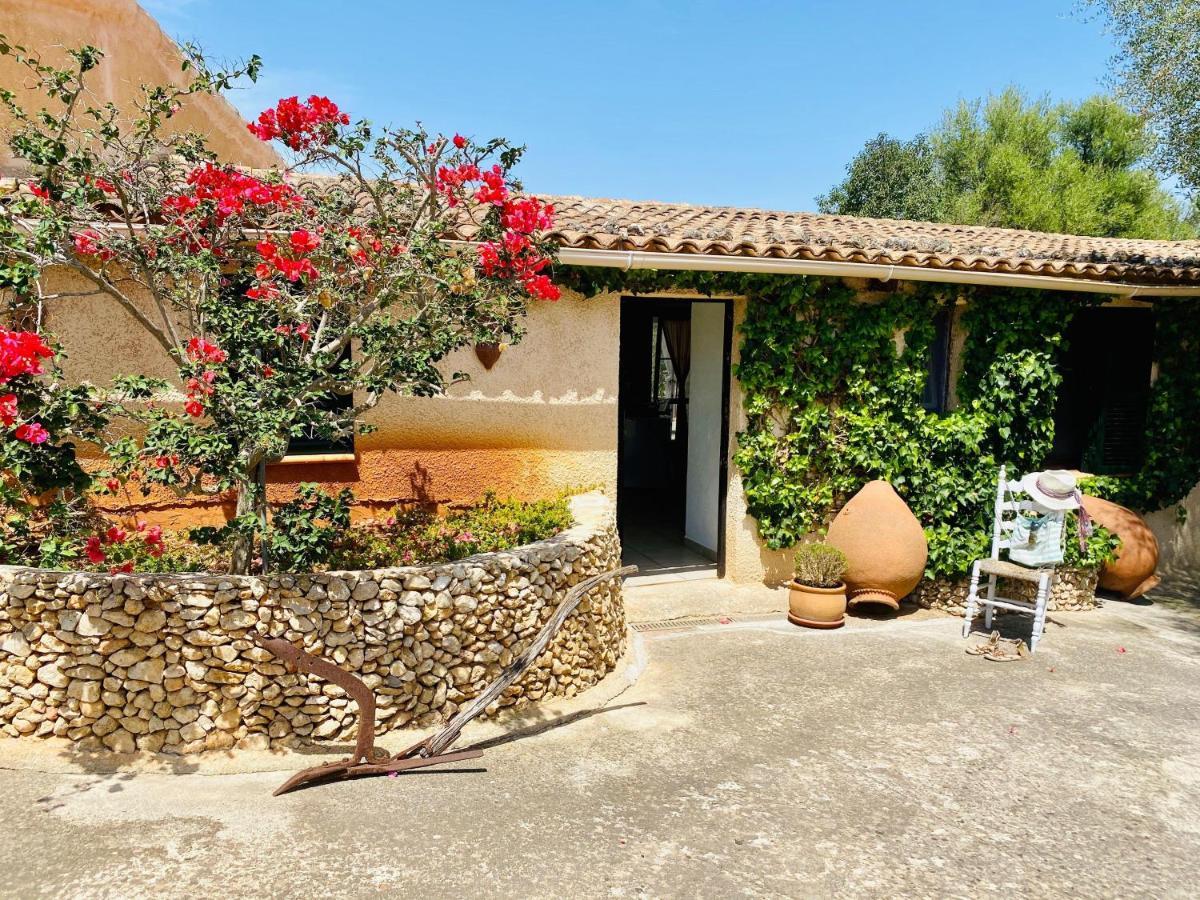 Finca Oase photo 3