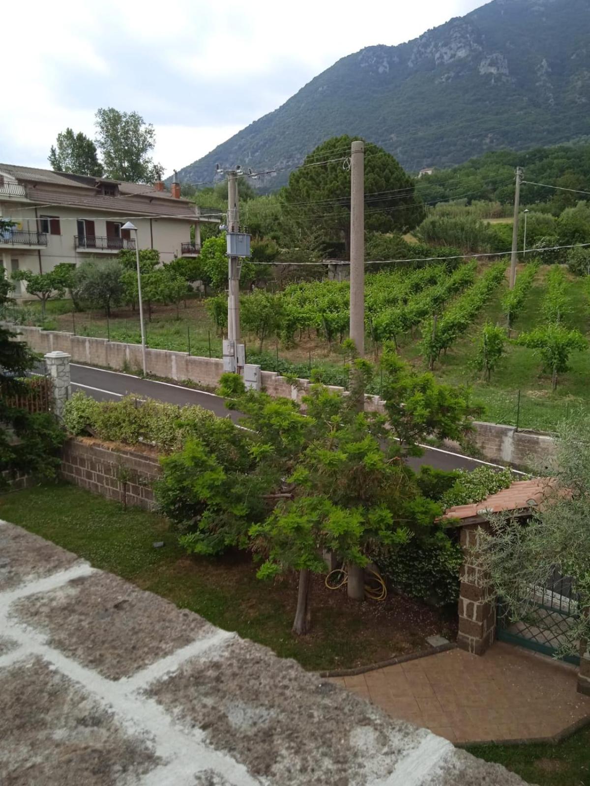 other