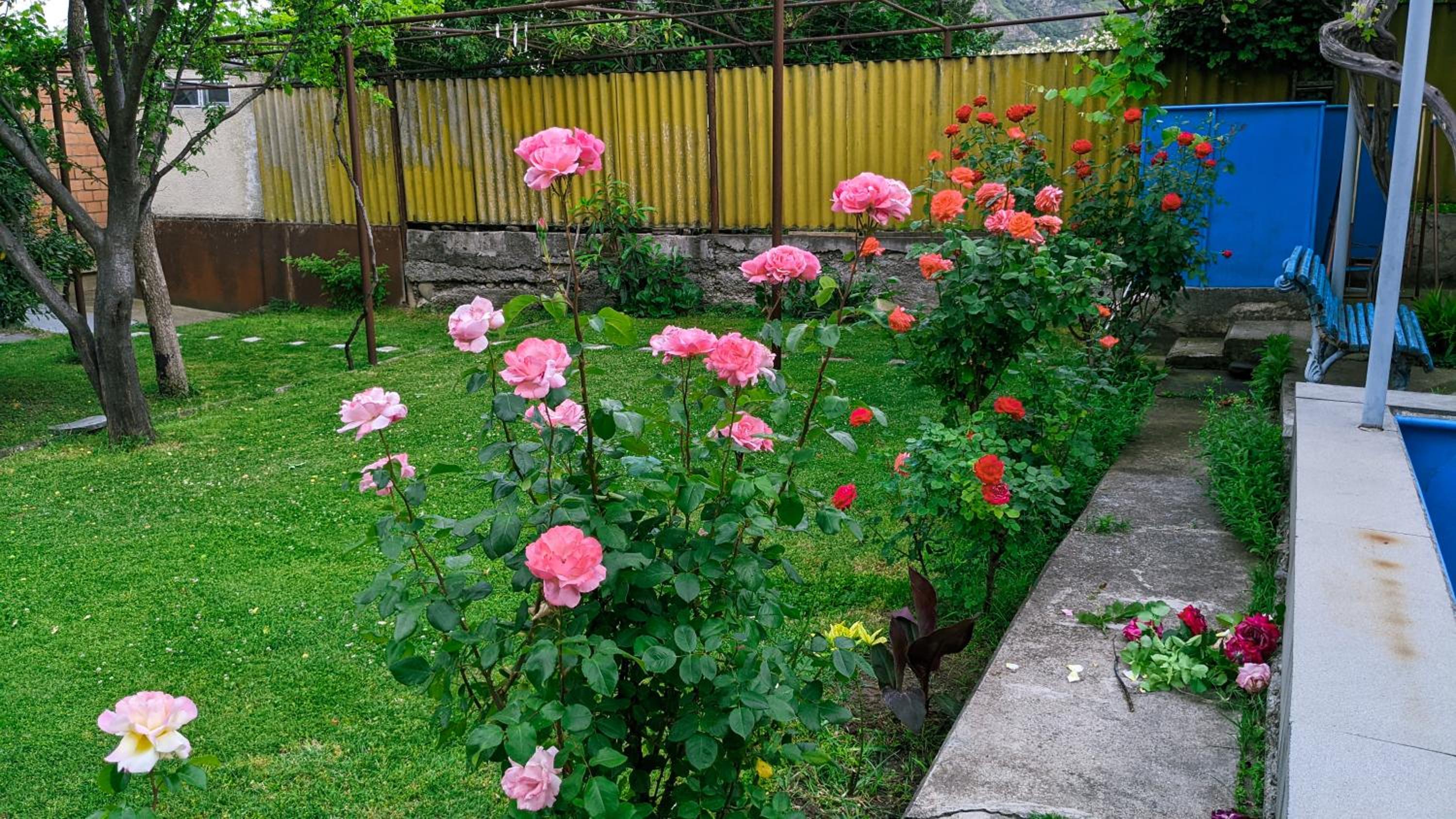 Photo 26
