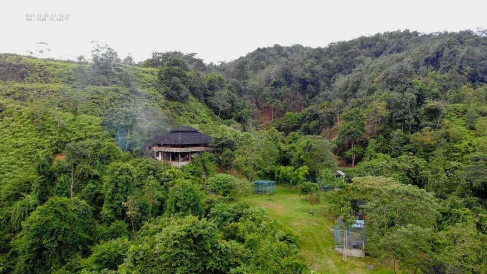 Bukit Lawang Hill Resort view 5