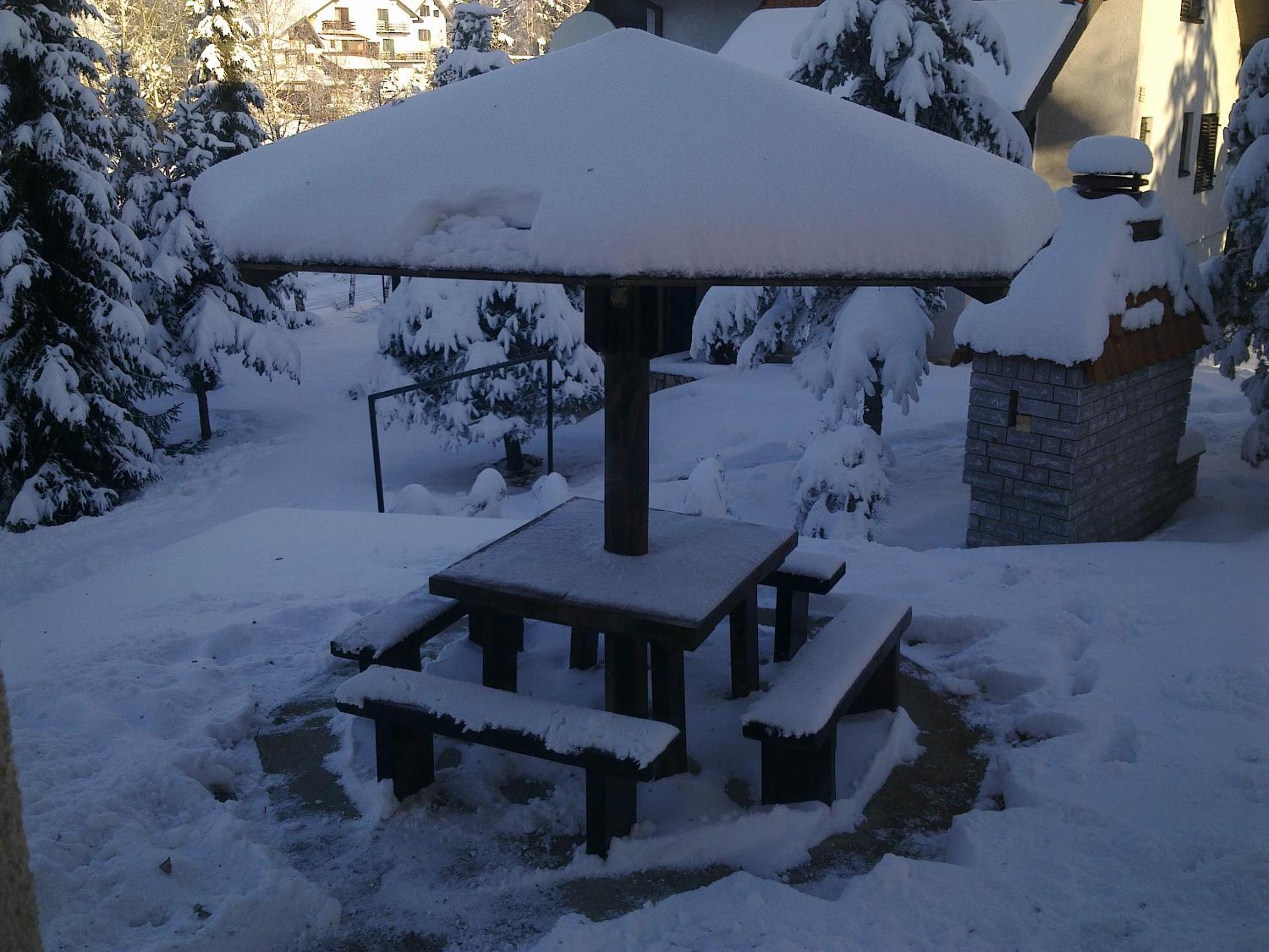 Photo 12