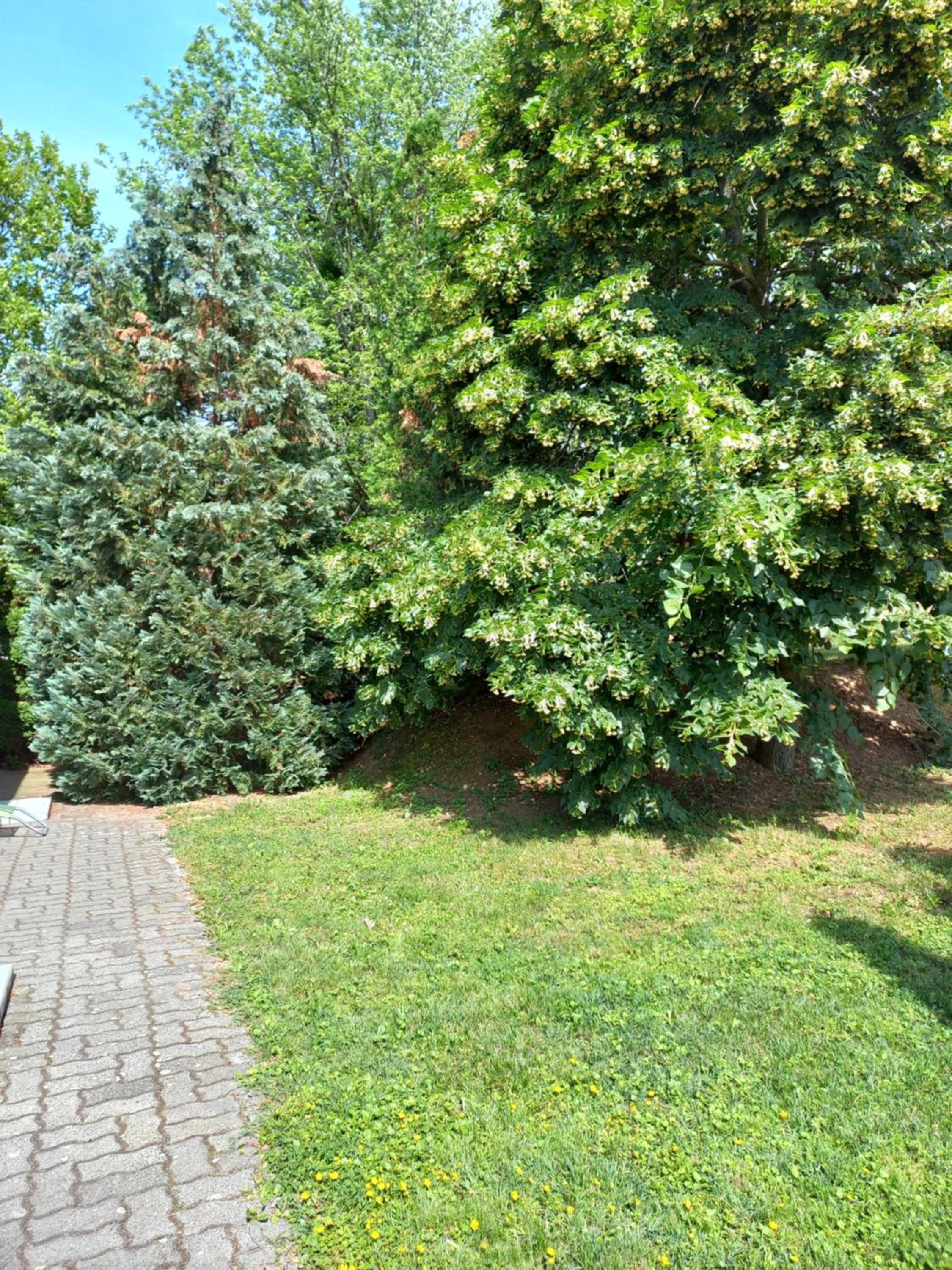 Photo 24