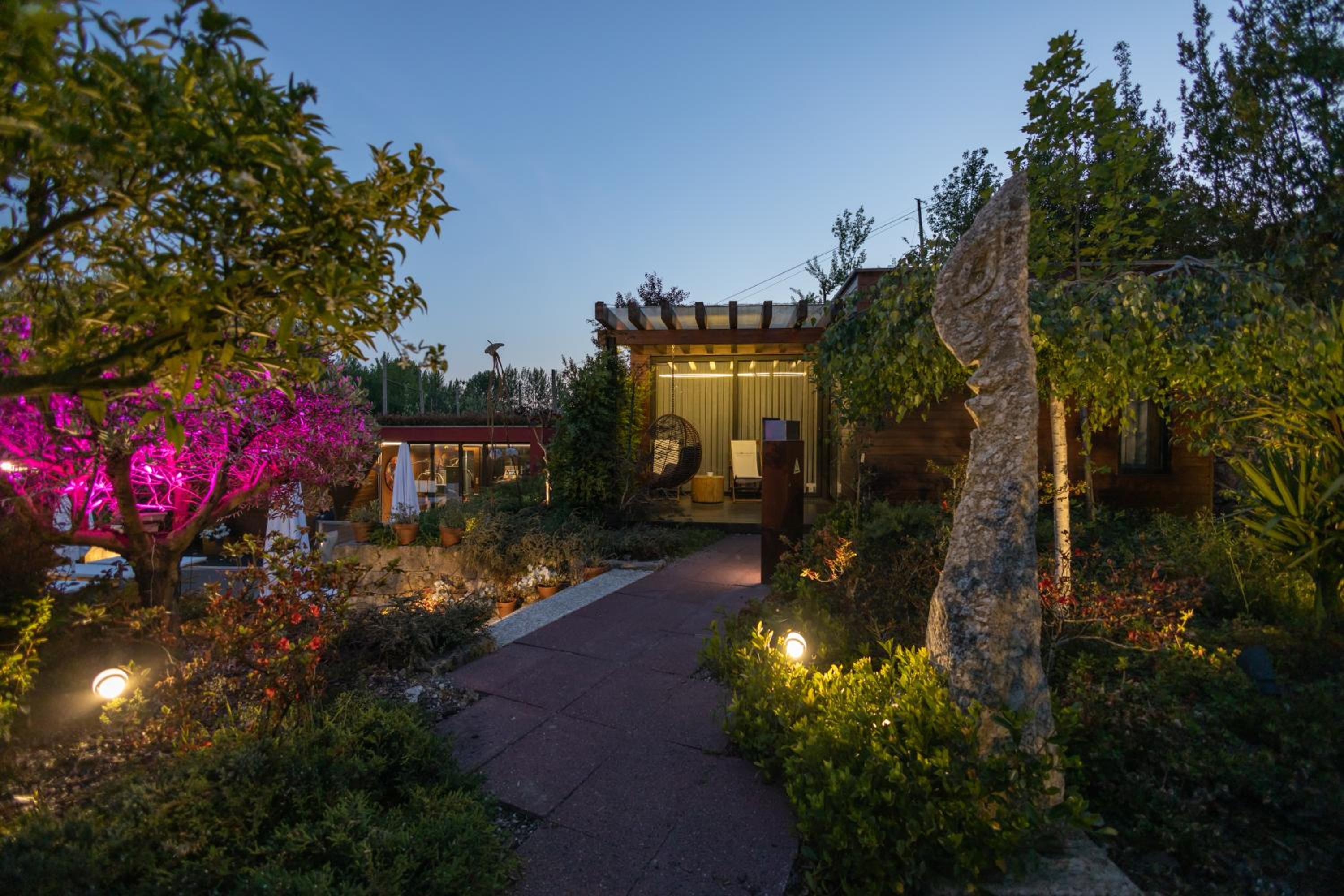 Vale de São Torcato Hotel Rural view 5