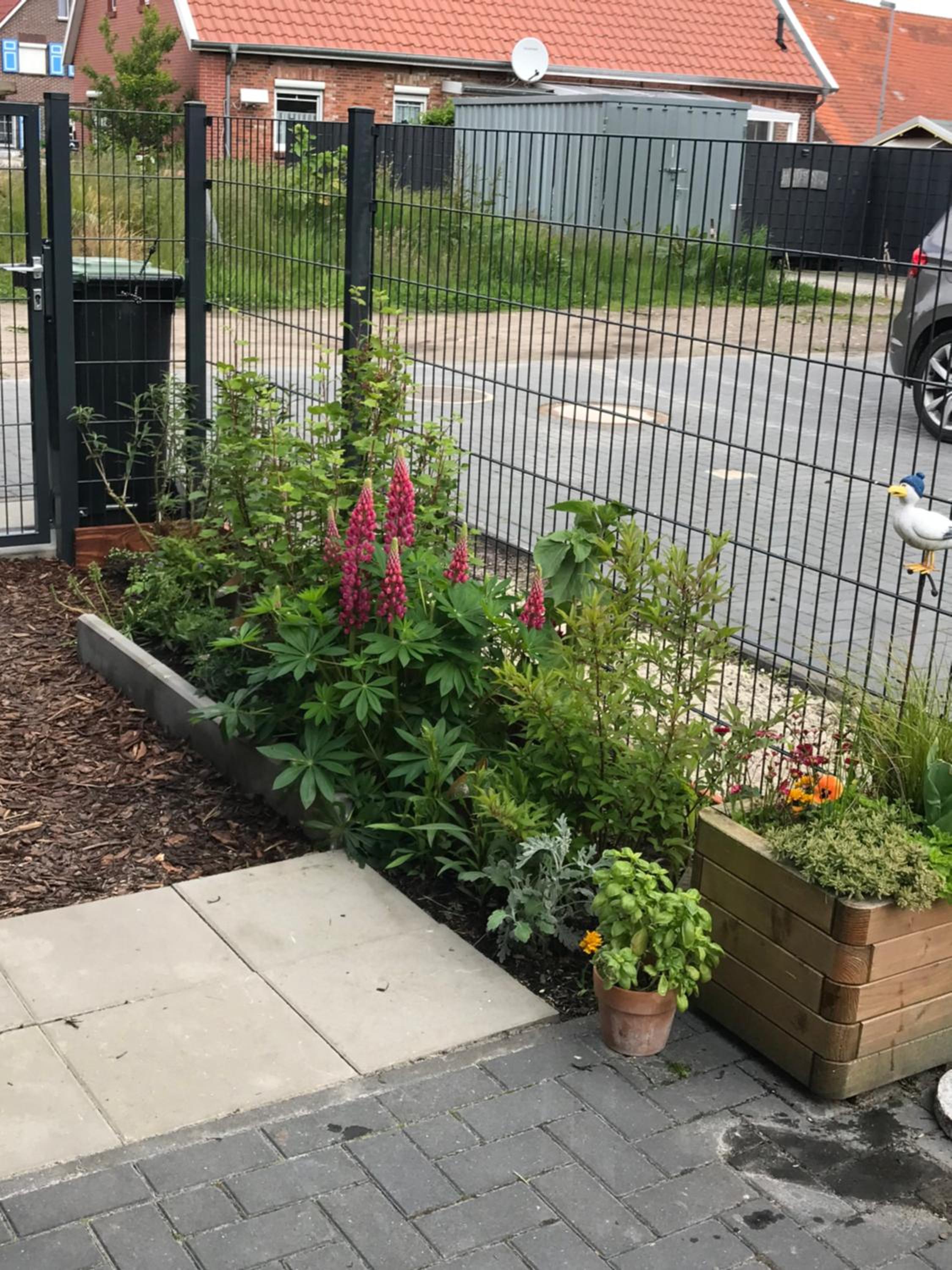 Feriendomizil Dornum Haus Margarete mit Wallbox