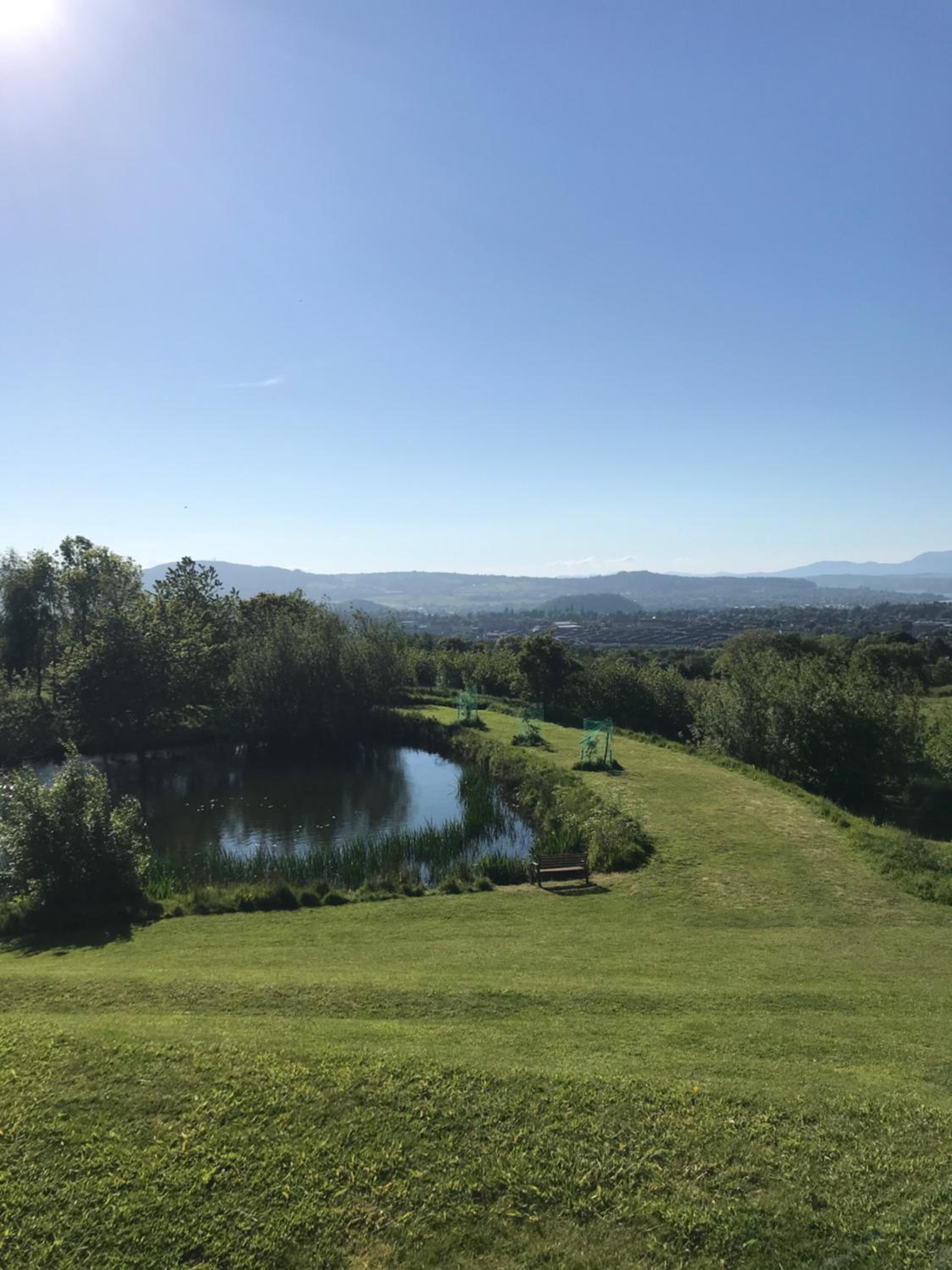 Druid View B&B, photo 7