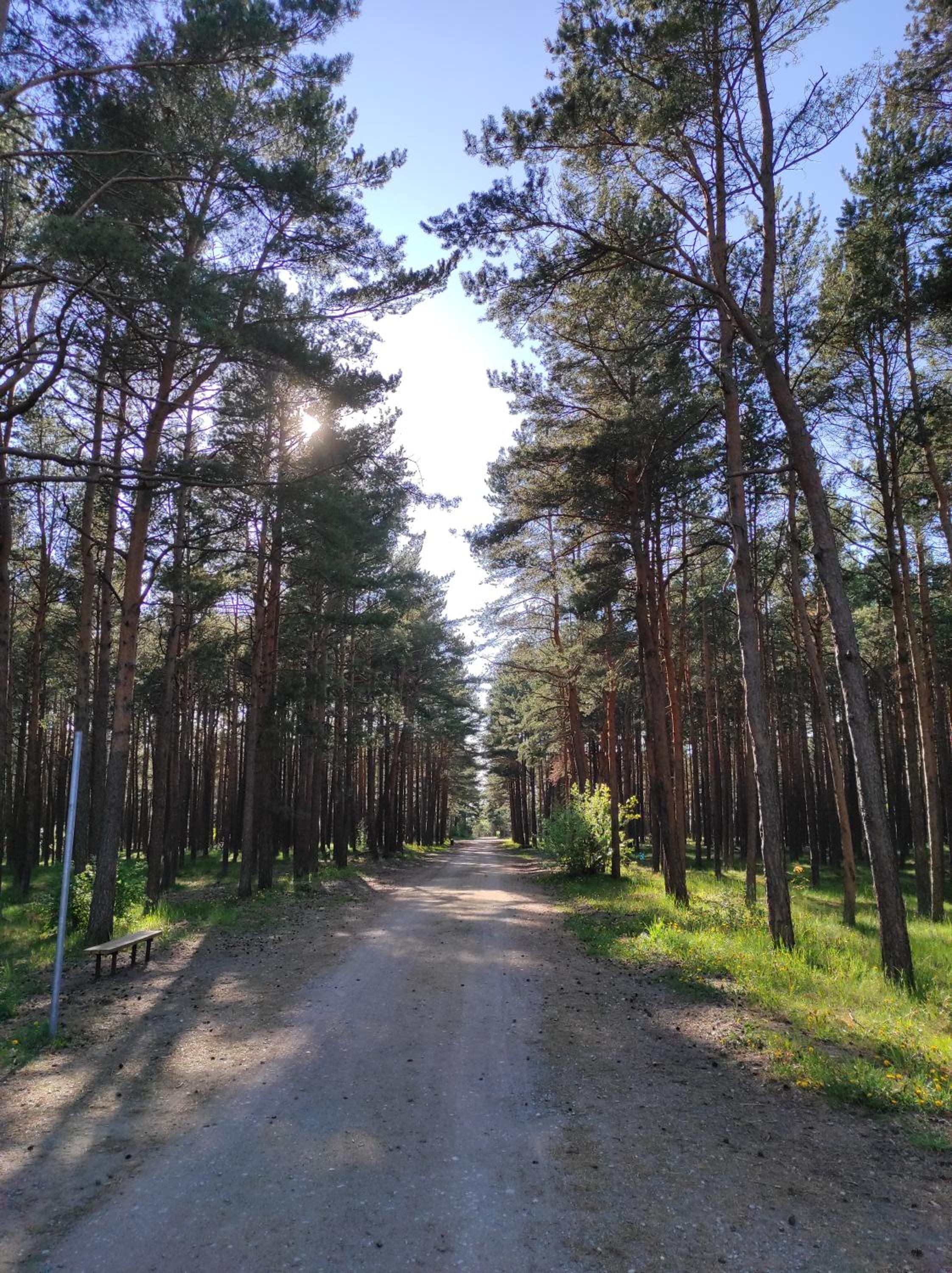 Photo 28