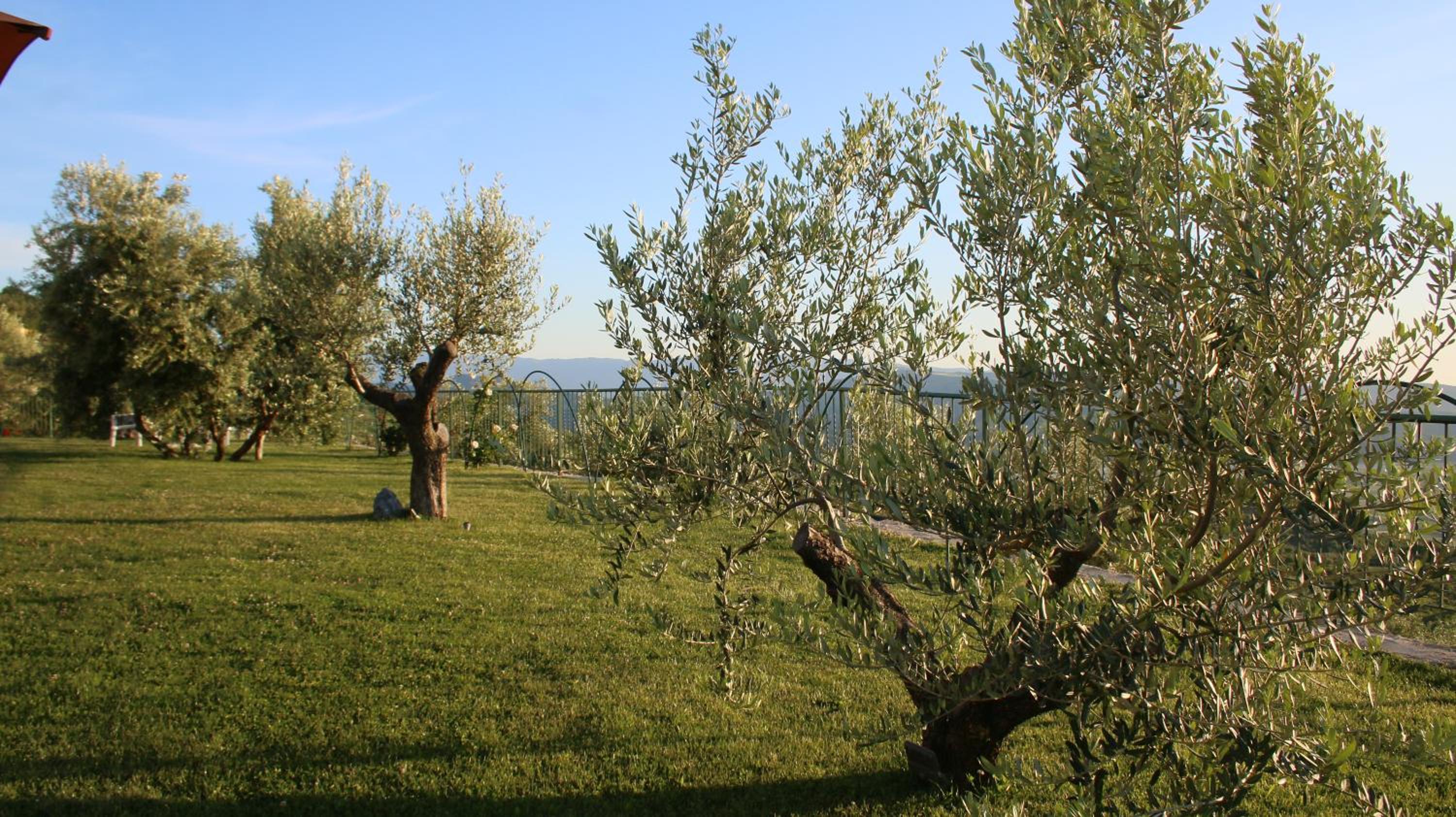 Agroturizem Bylis
