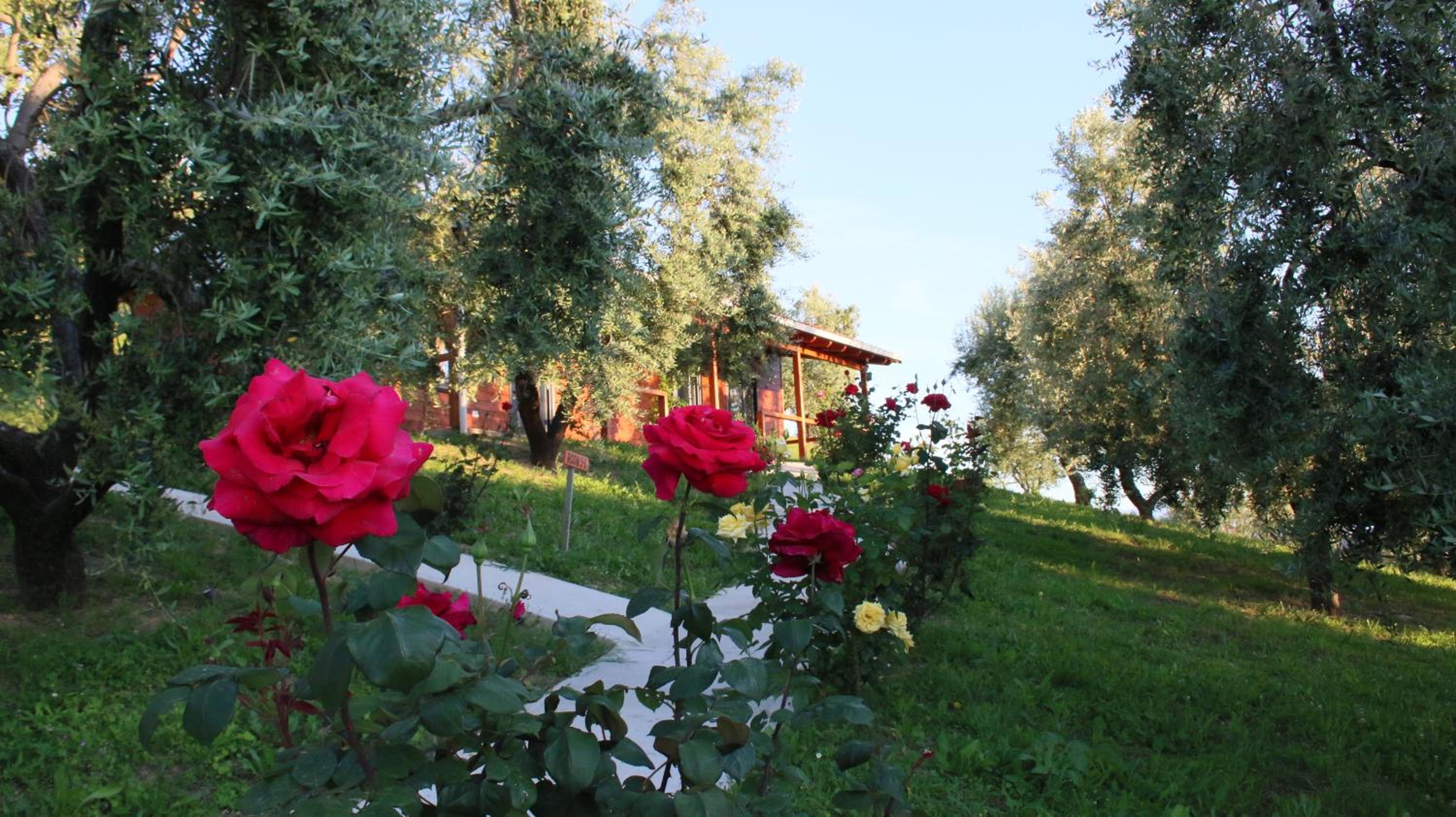 Agroturizem Bylis