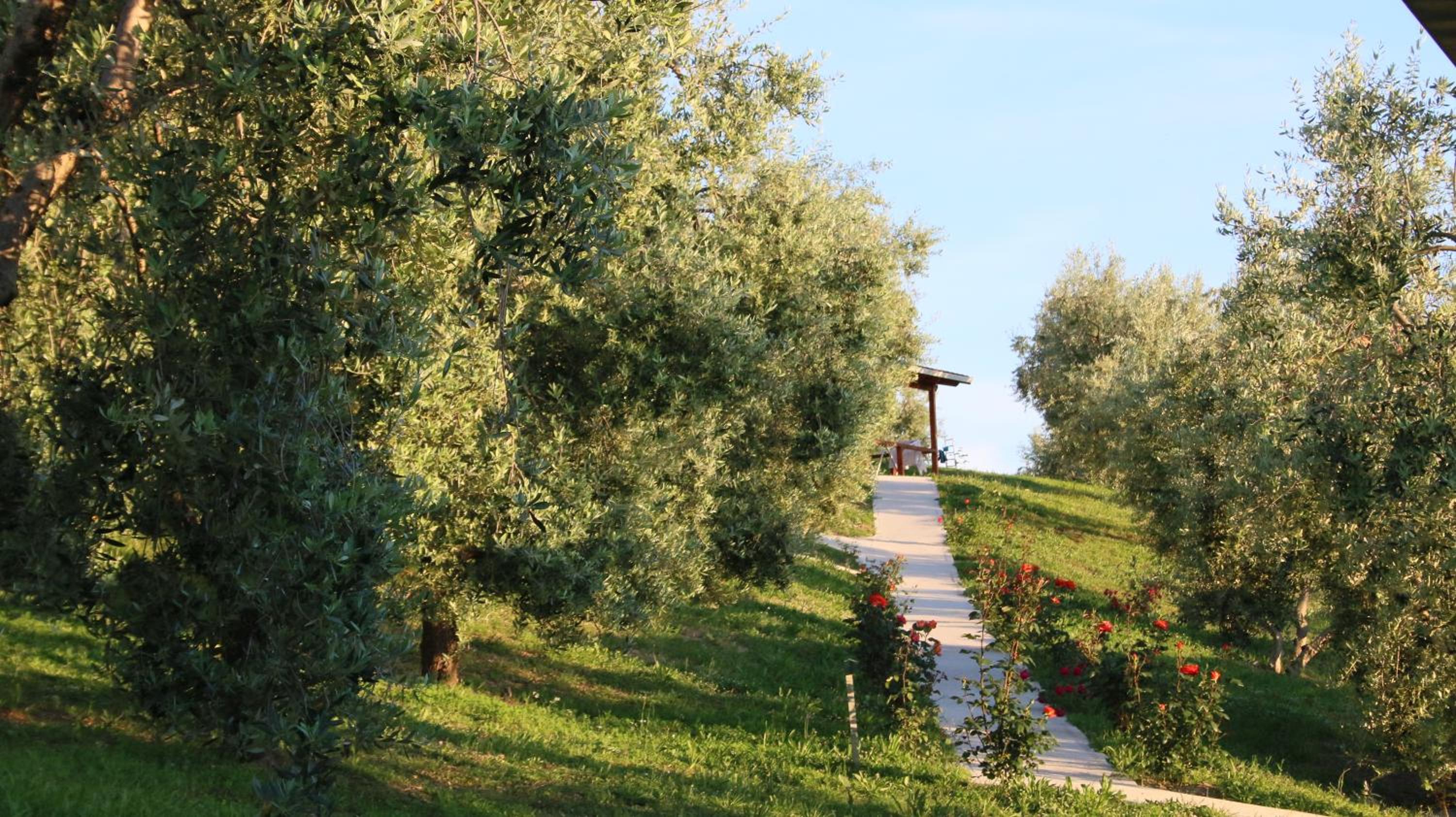 Agroturizem Bylis