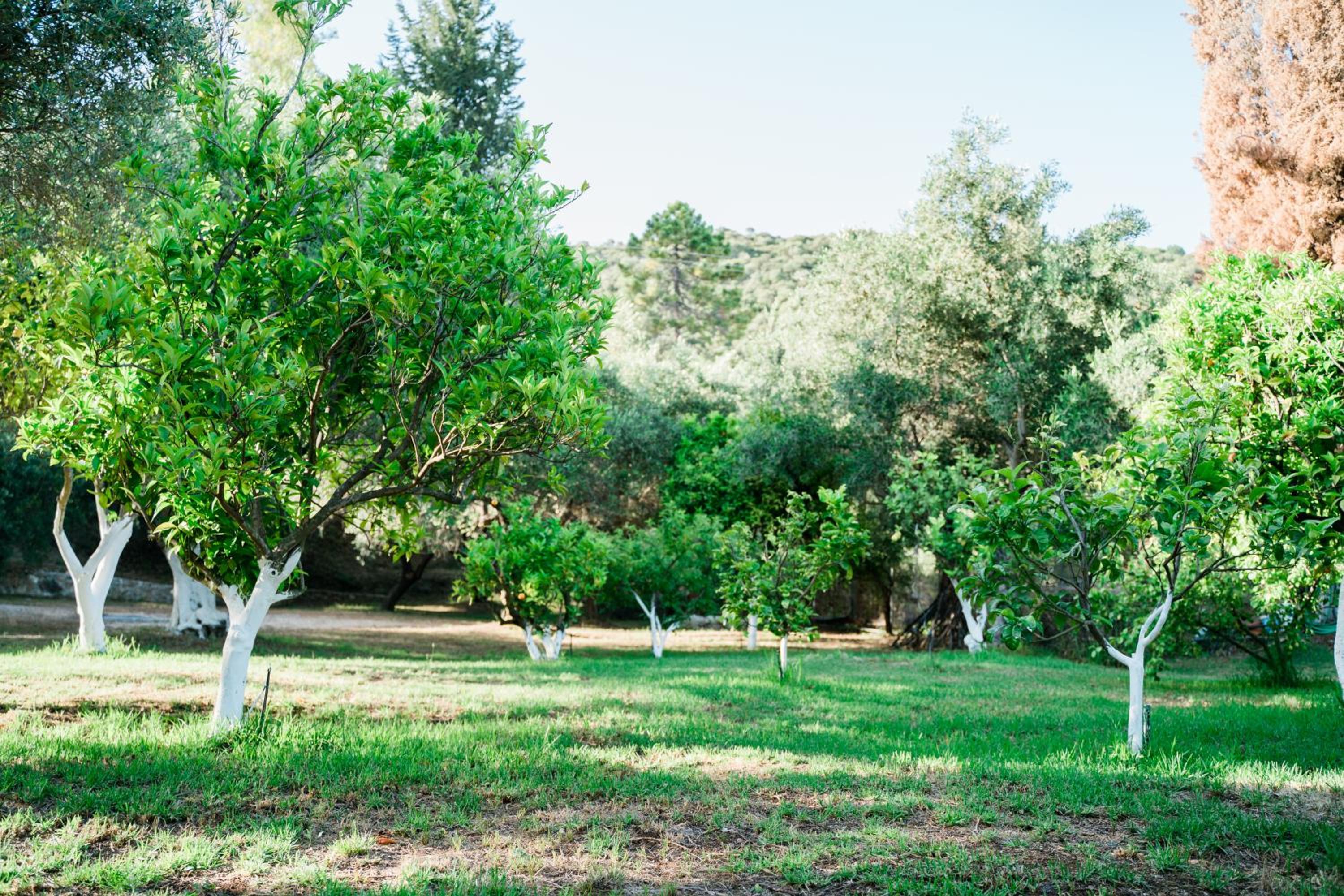 Villa Kallithea view 5