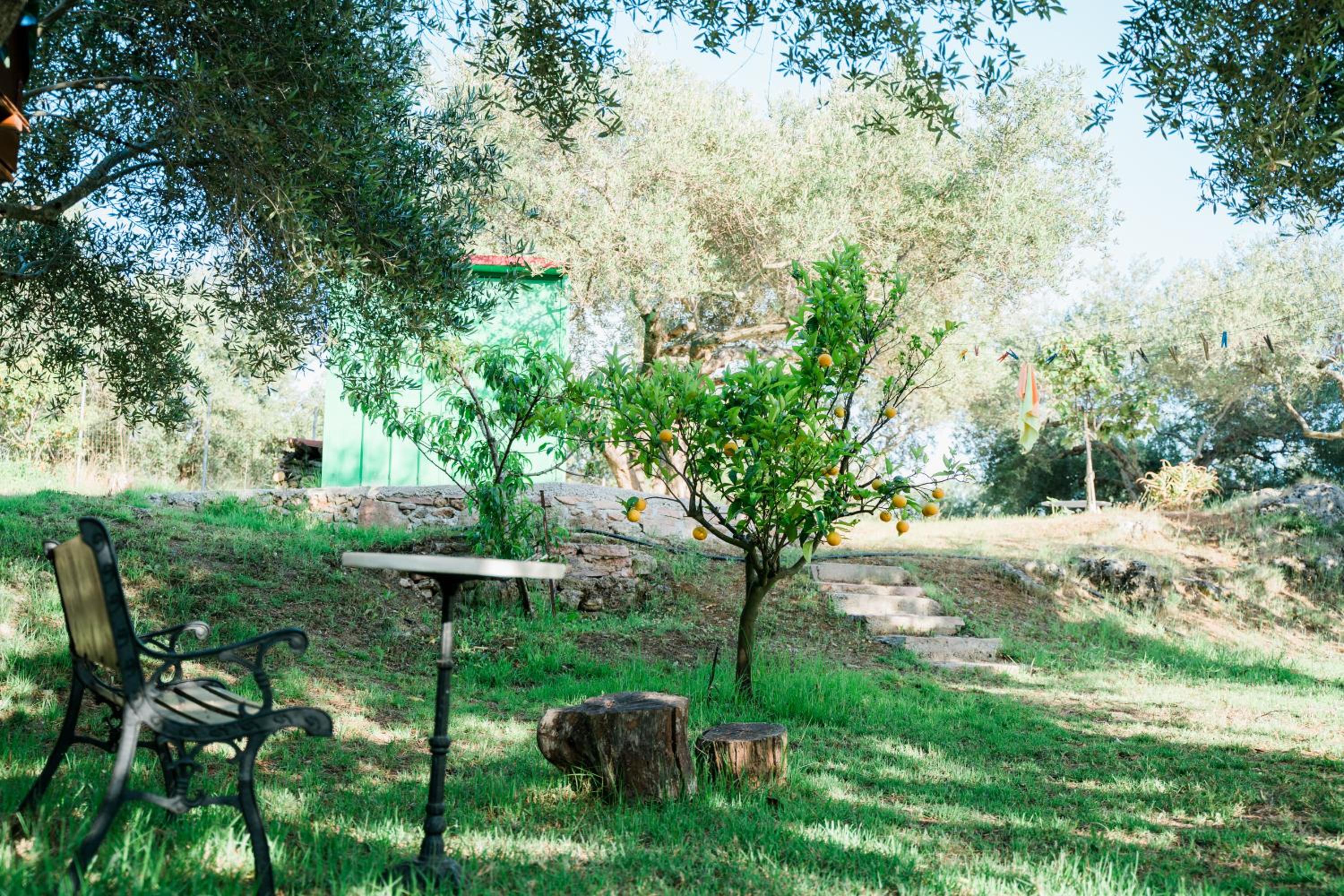 Photo 10