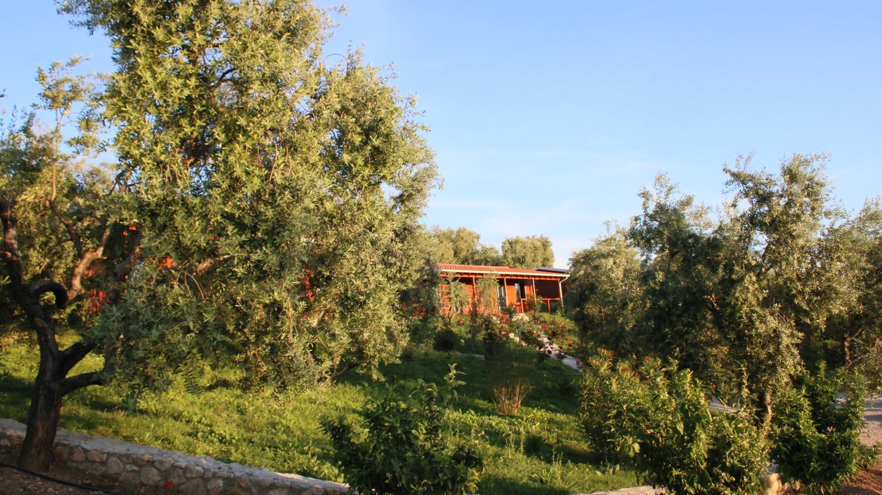 Agroturizem Bylis