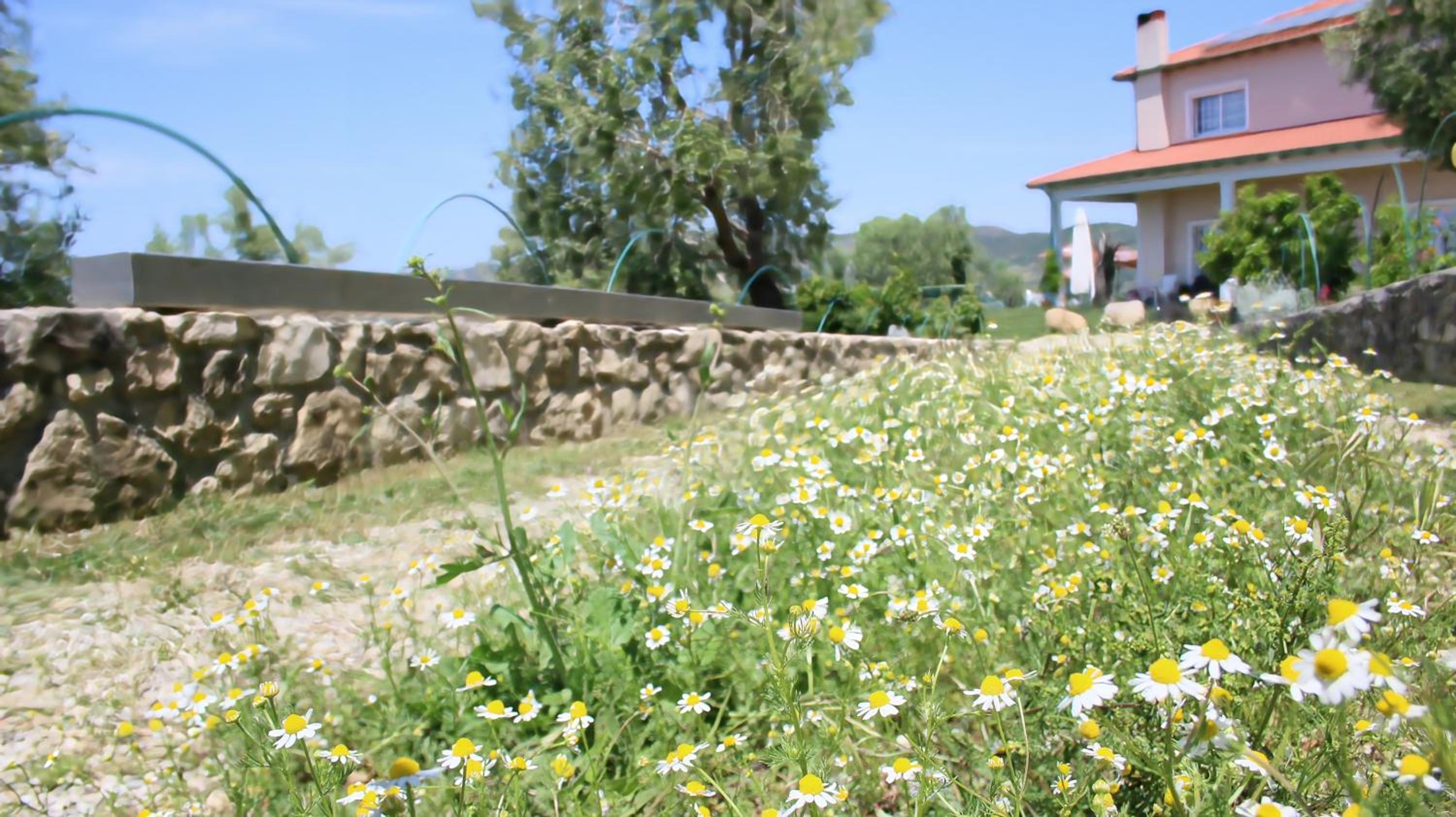 Agroturizem Bylis